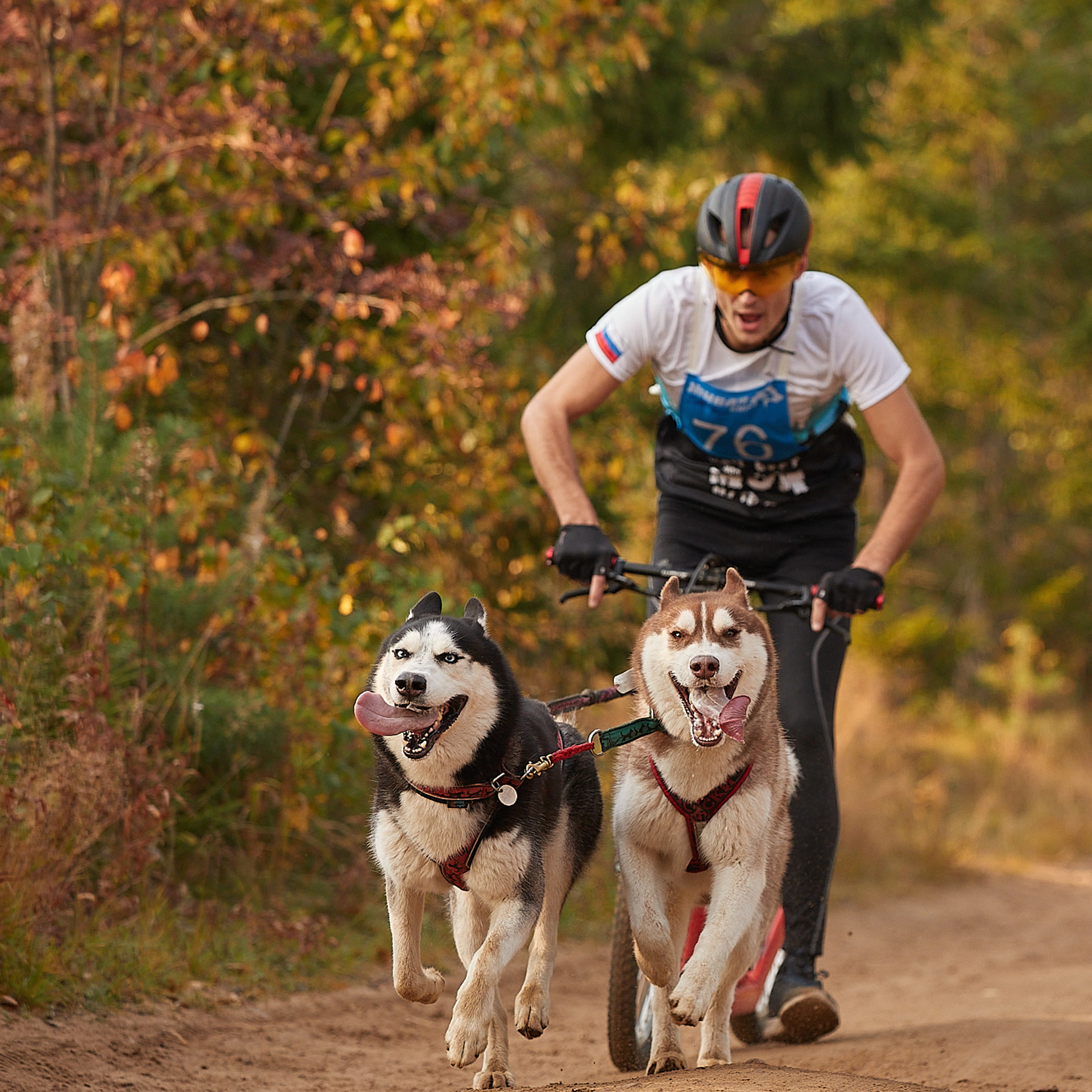 ЧЕМПИОНАТ РОССИИ РКФ 27 сентября 2020 г., 2й день. ФОТОГРАФ-АНИМАЛИСТ l LANA POLYAKOVA