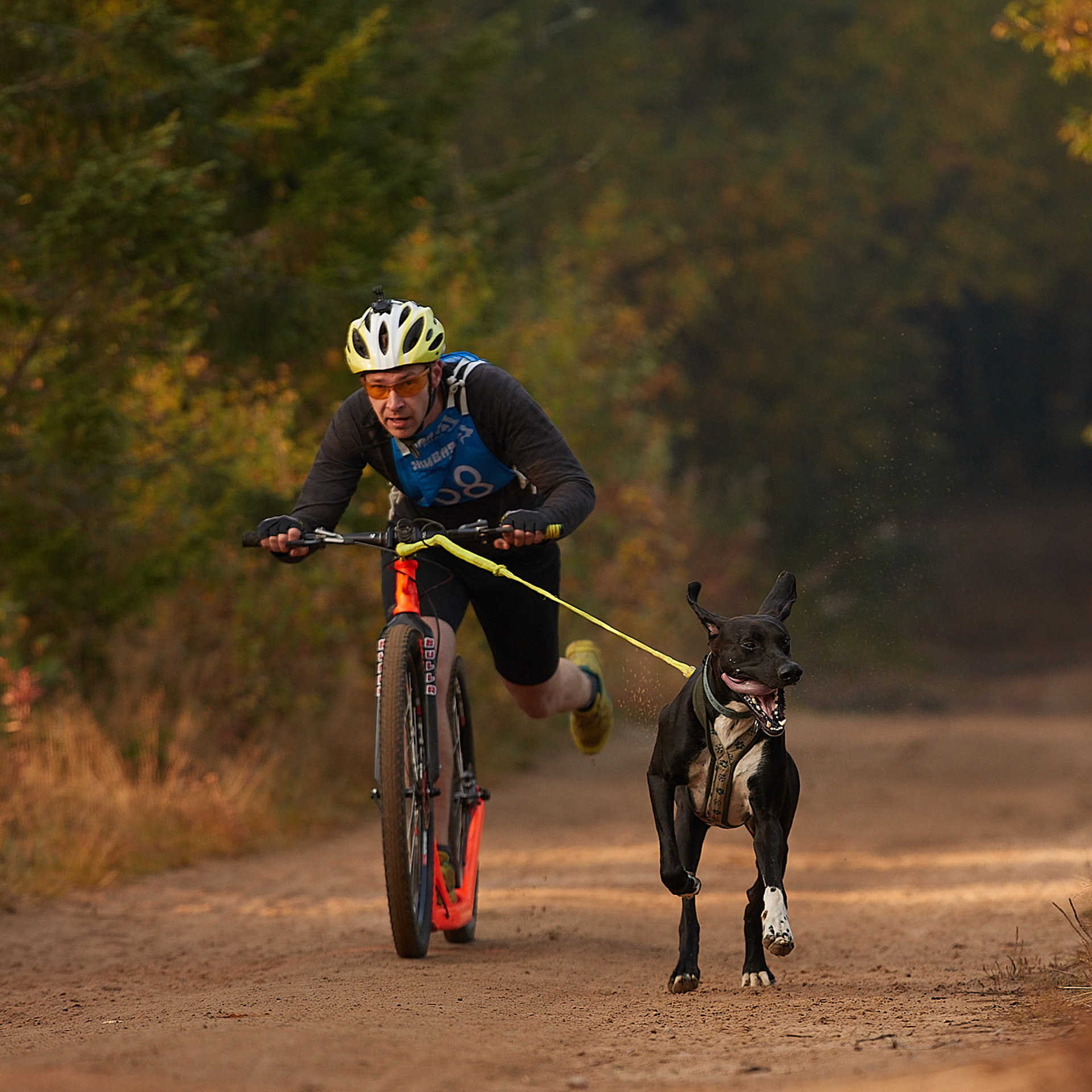 ЧЕМПИОНАТ РОССИИ РКФ 27 сентября 2020 г., 2й день. ФОТОГРАФ-АНИМАЛИСТ l LANA POLYAKOVA