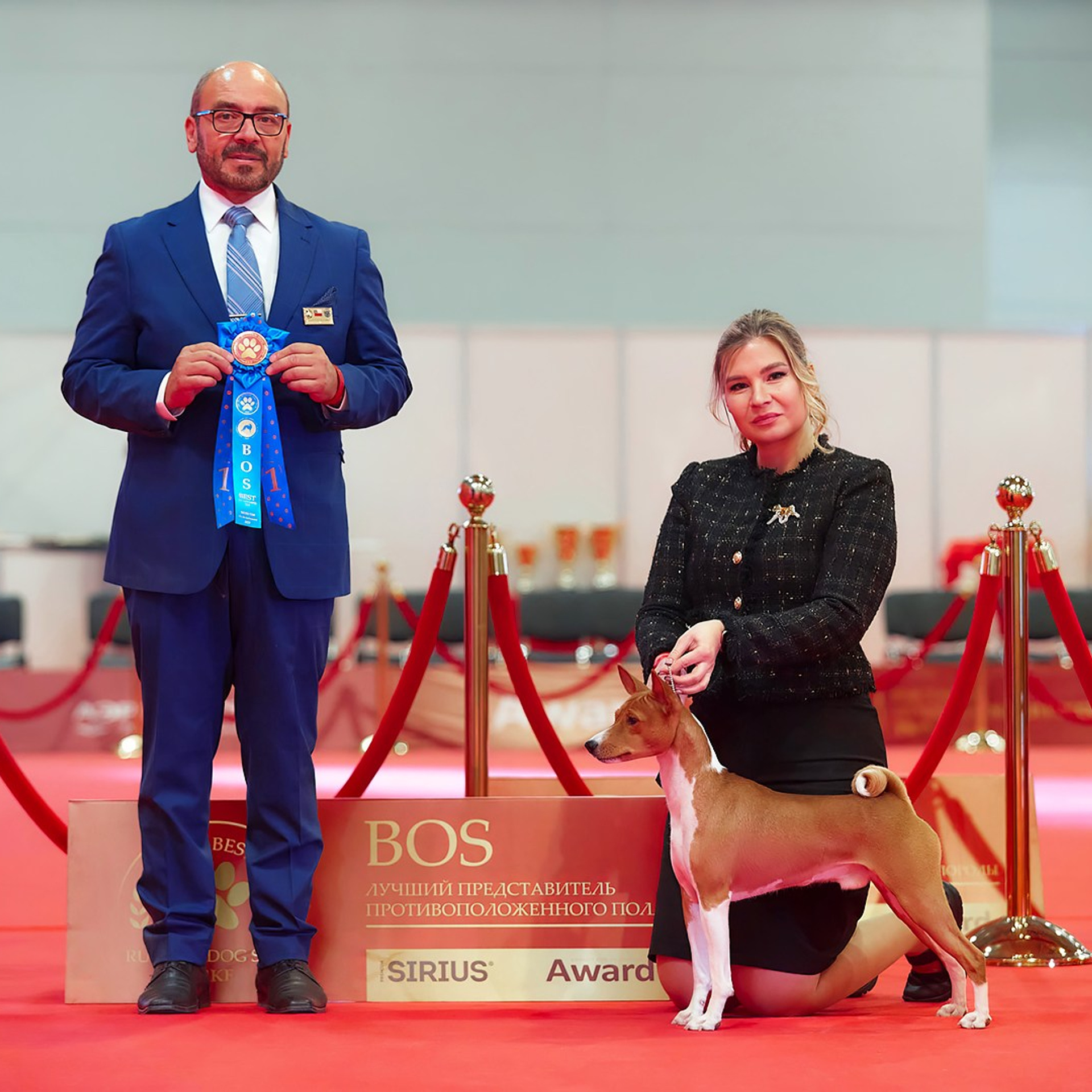 Шоу чемпионов «ЛУЧШИЕ СОБАКИ РОССИИ». ФОТОГРАФ-АНИМАЛИСТ l LANA POLYAKOVA