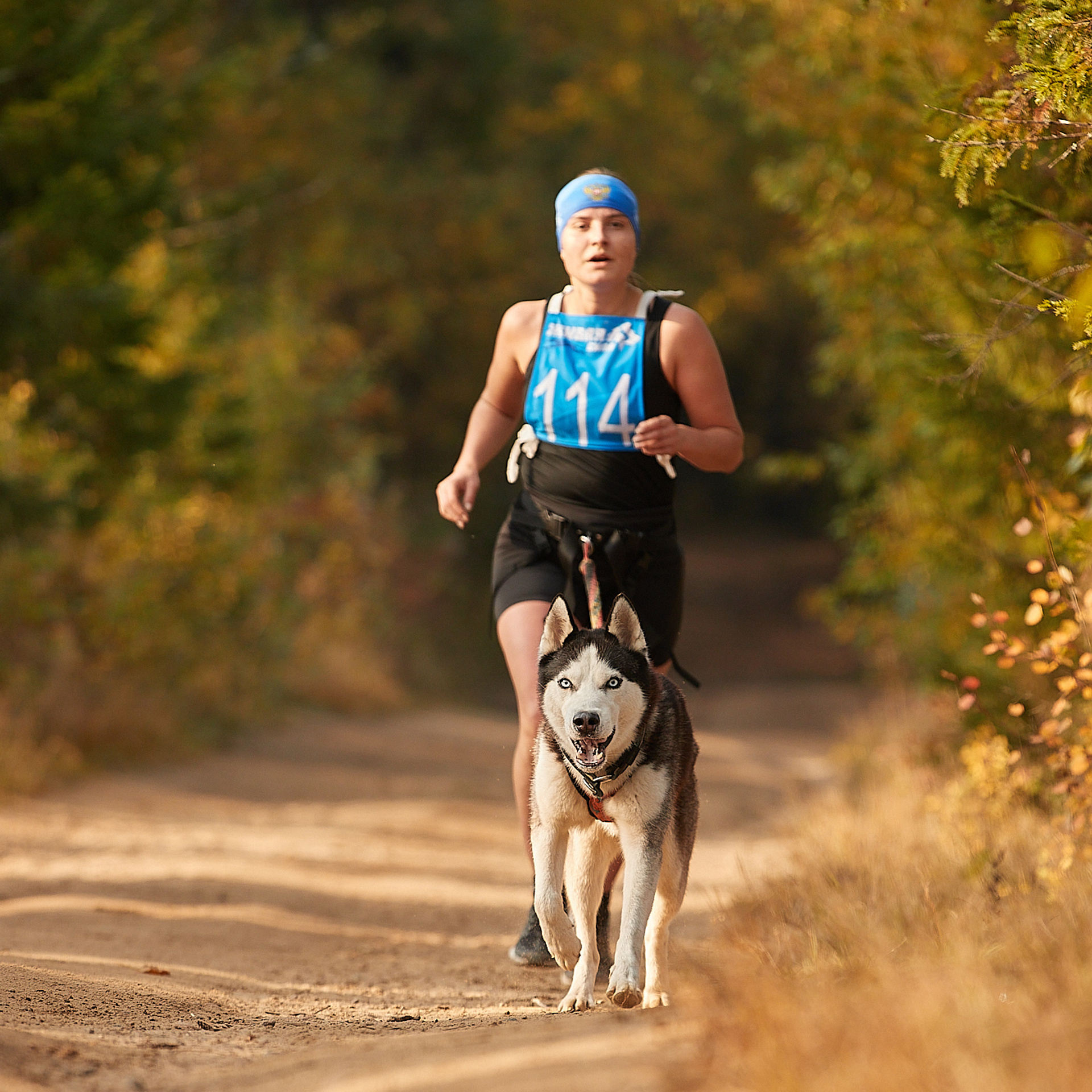 ЧЕМПИОНАТ РОССИИ РКФ 27 сентября 2020 г., 2й день. ФОТОГРАФ-АНИМАЛИСТ l LANA POLYAKOVA