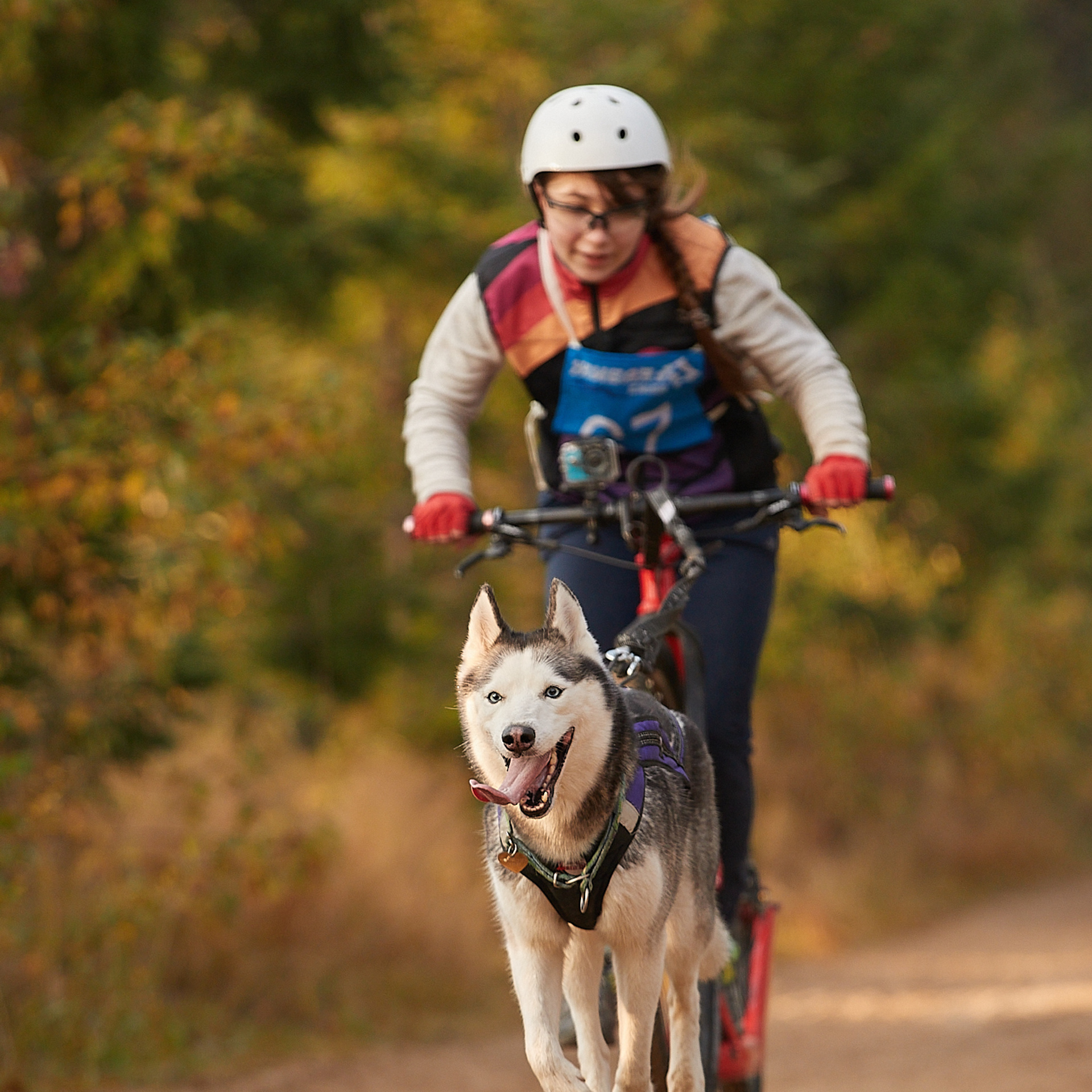 ЧЕМПИОНАТ РОССИИ РКФ 27 сентября 2020 г., 2й день. ФОТОГРАФ-АНИМАЛИСТ l LANA POLYAKOVA