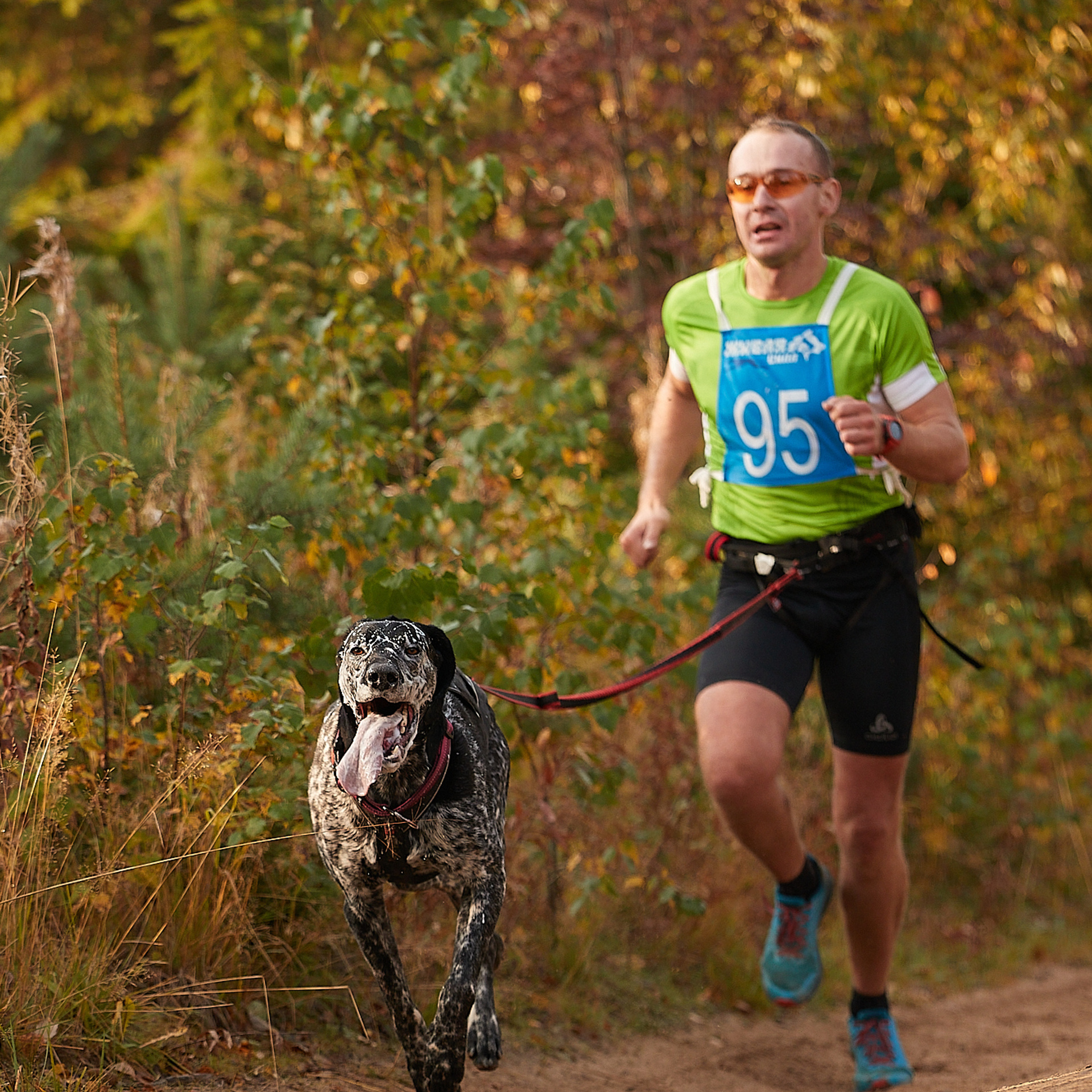 ЧЕМПИОНАТ РОССИИ РКФ 27 сентября 2020 г., 2й день. ФОТОГРАФ-АНИМАЛИСТ l LANA POLYAKOVA