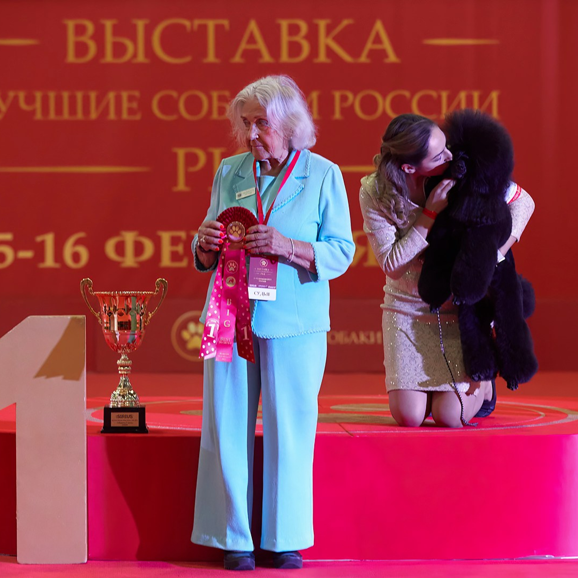 Шоу чемпионов «ЛУЧШИЕ СОБАКИ РОССИИ». ФОТОГРАФ-АНИМАЛИСТ l LANA POLYAKOVA