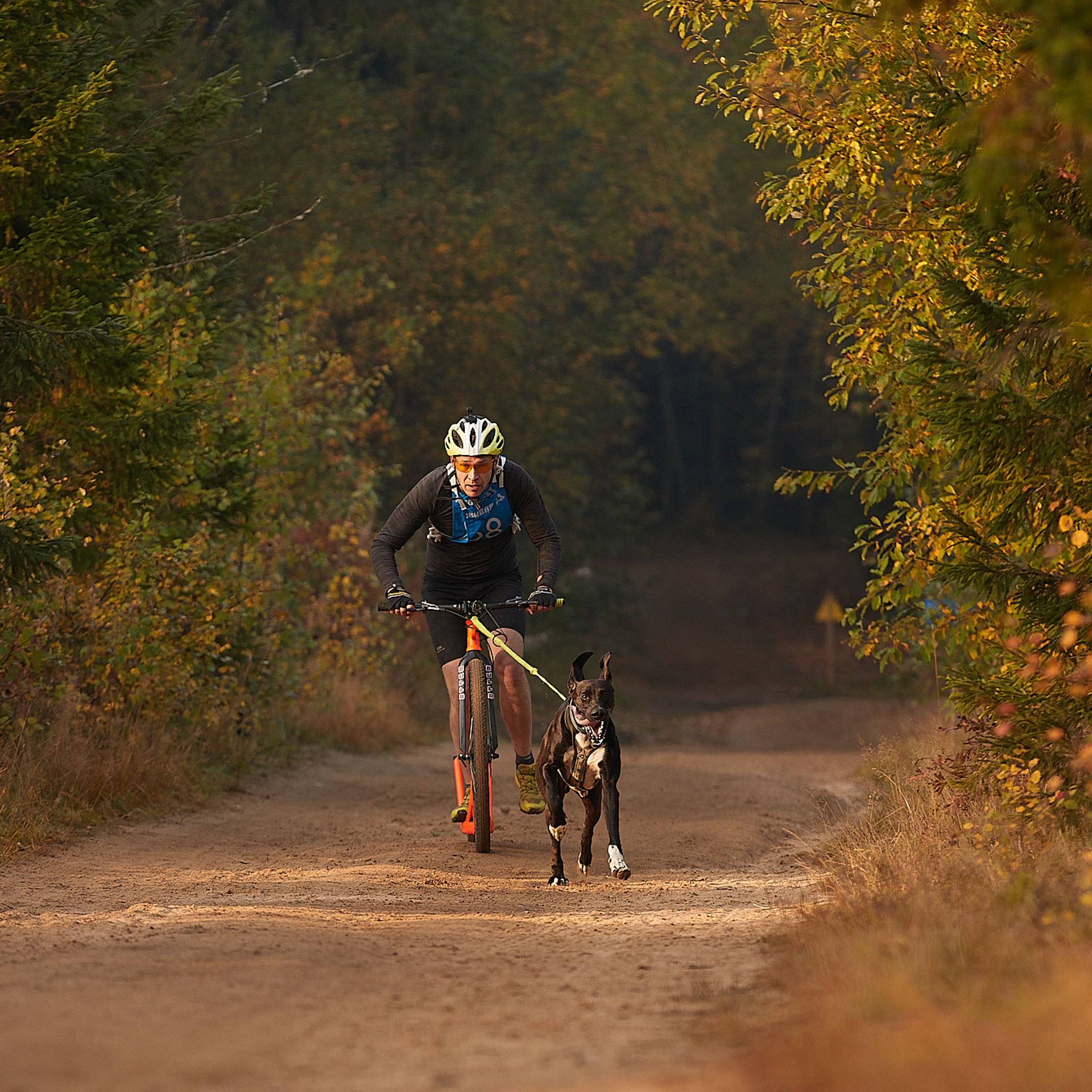 ЧЕМПИОНАТ РОССИИ РКФ 27 сентября 2020 г., 2й день. ФОТОГРАФ-АНИМАЛИСТ l LANA POLYAKOVA