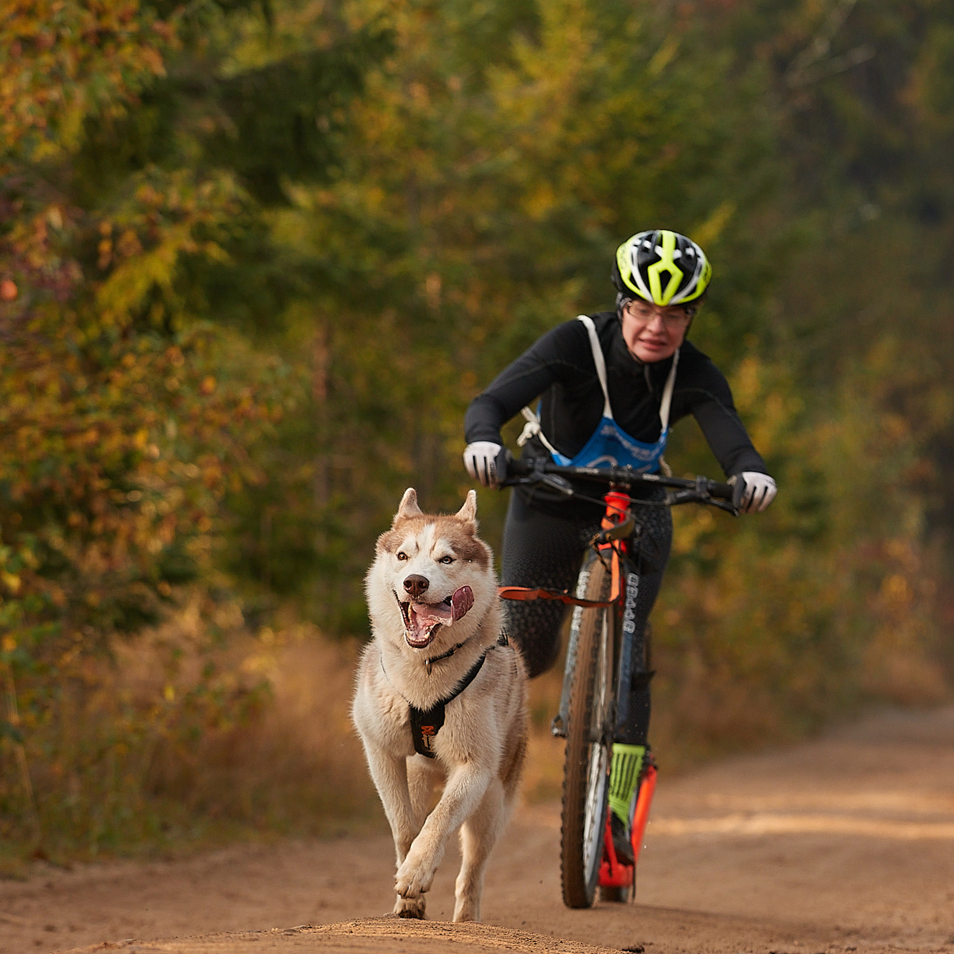 ЧЕМПИОНАТ РОССИИ РКФ 27 сентября 2020 г., 2й день. ФОТОГРАФ-АНИМАЛИСТ l LANA POLYAKOVA