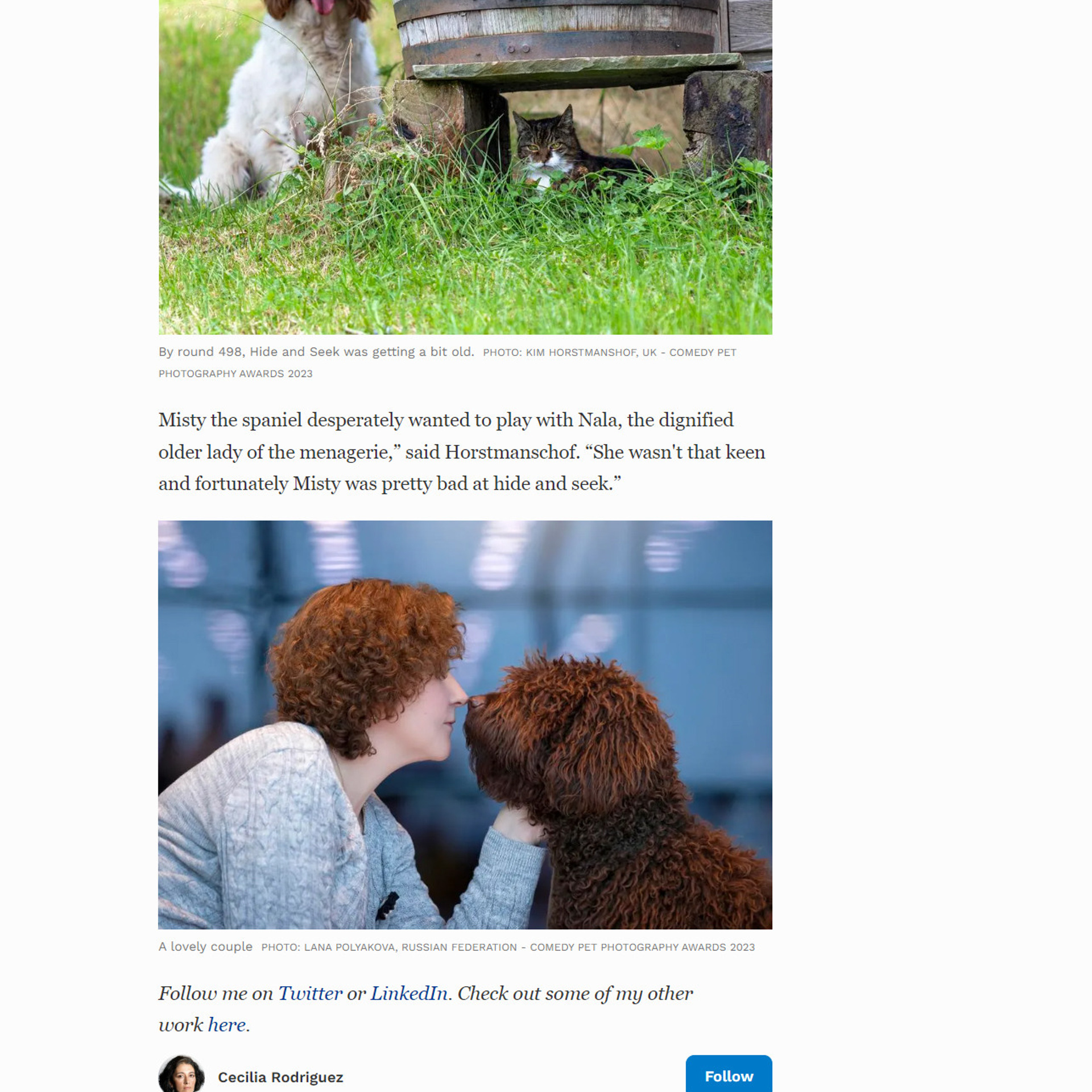 Победы в фотоконкурсах. ФОТОГРАФ-АНИМАЛИСТ l LANA POLYAKOVA