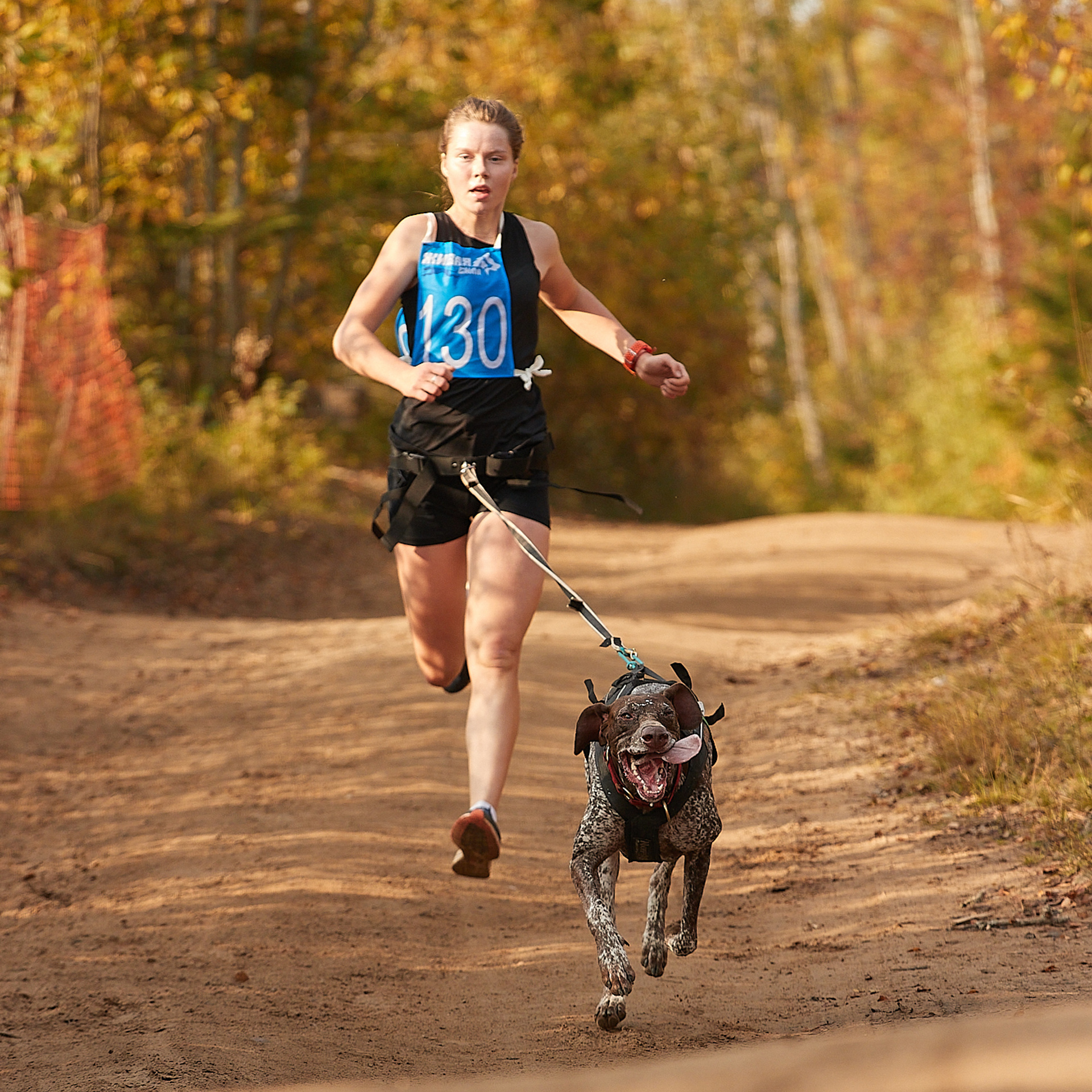 ЧЕМПИОНАТ РОССИИ РКФ 27 сентября 2020 г., 2й день. ФОТОГРАФ-АНИМАЛИСТ l LANA POLYAKOVA