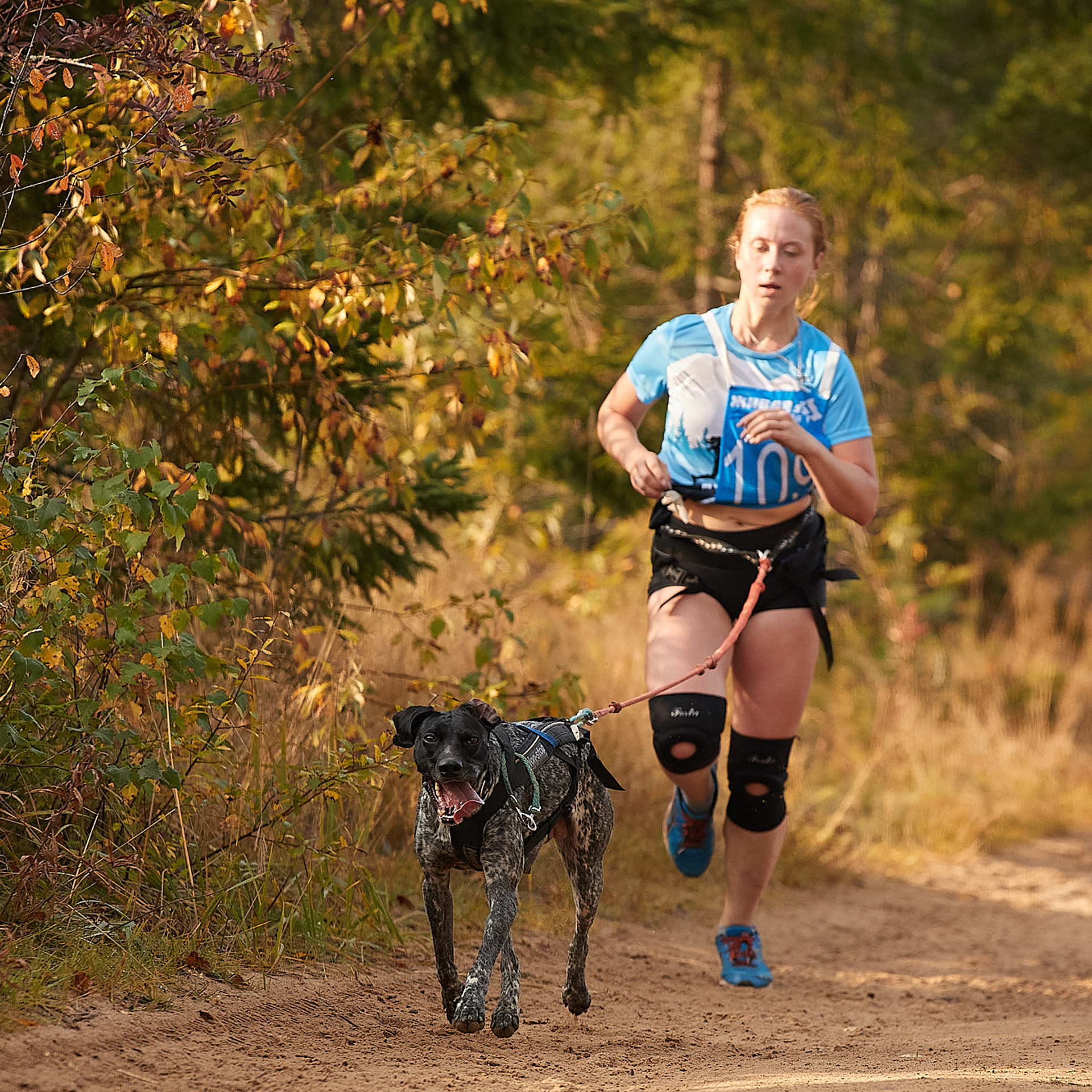 ЧЕМПИОНАТ РОССИИ РКФ 27 сентября 2020 г., 2й день. ФОТОГРАФ-АНИМАЛИСТ l LANA POLYAKOVA