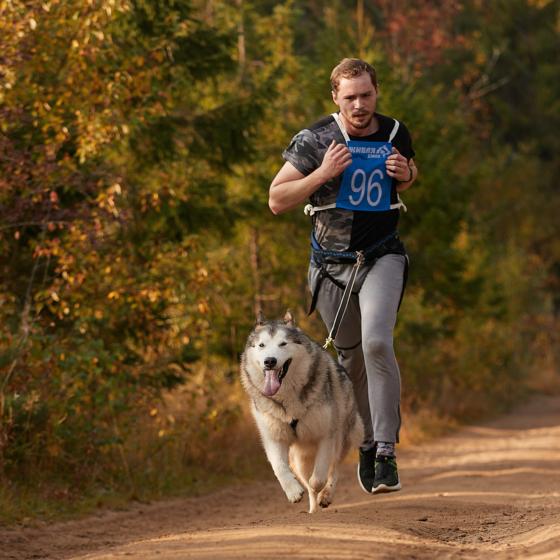 ЧЕМПИОНАТ РОССИИ РКФ 27 сентября 2020 г., 2й день. ФОТОГРАФ-АНИМАЛИСТ l LANA POLYAKOVA