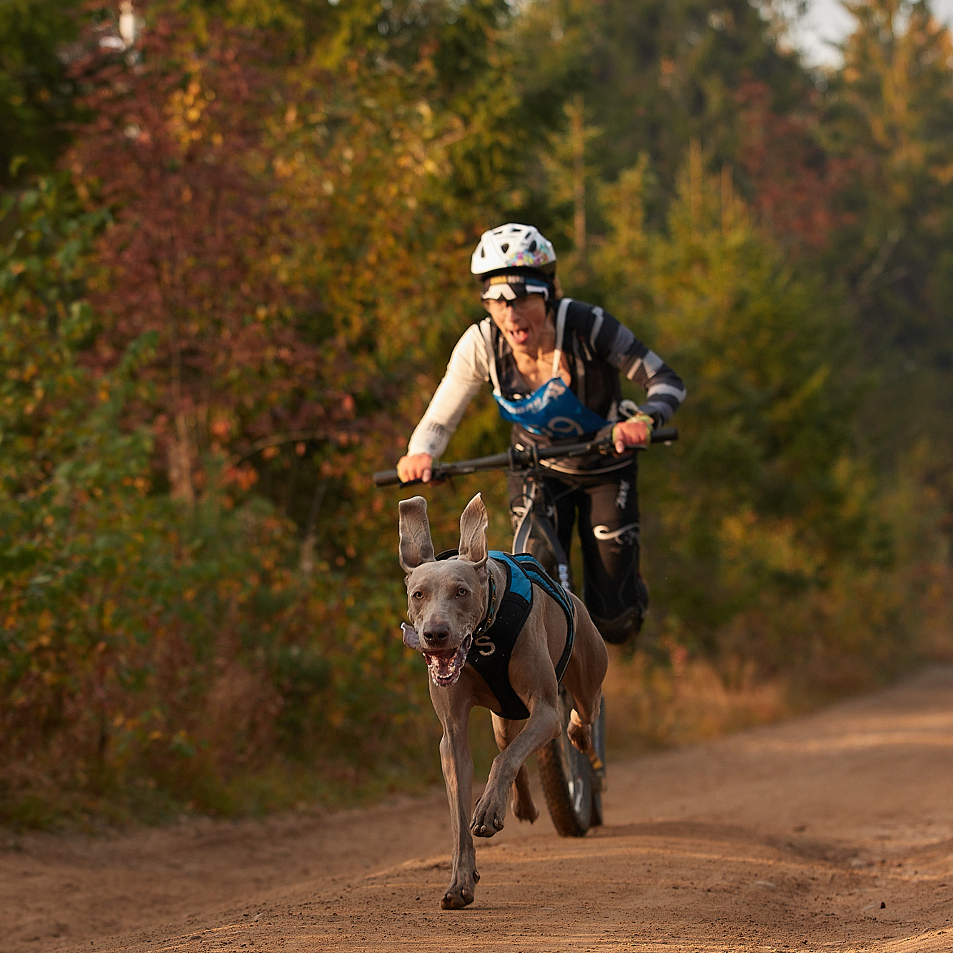 ЧЕМПИОНАТ РОССИИ РКФ 27 сентября 2020 г., 2й день. ФОТОГРАФ-АНИМАЛИСТ l LANA POLYAKOVA