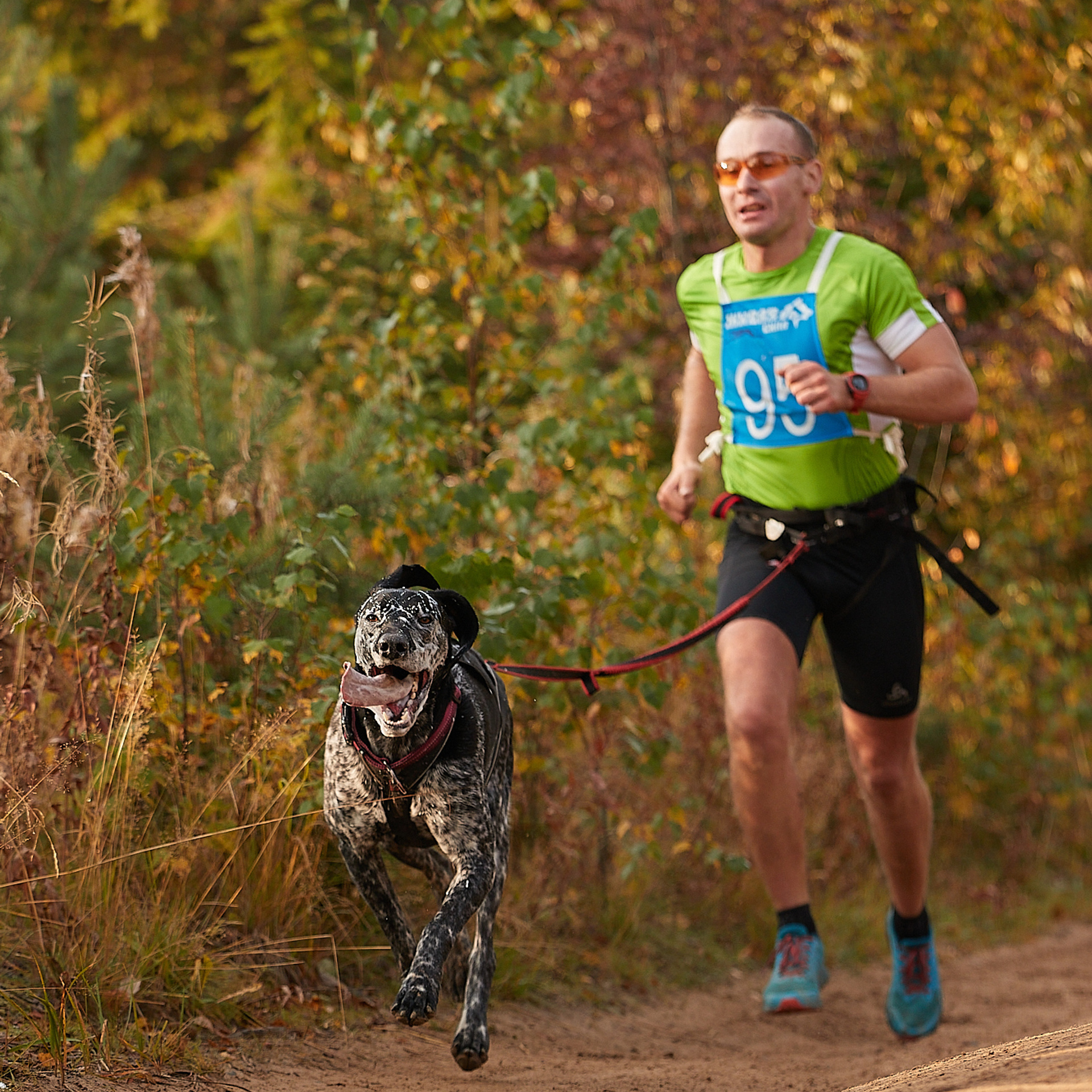 ЧЕМПИОНАТ РОССИИ РКФ 27 сентября 2020 г., 2й день. ФОТОГРАФ-АНИМАЛИСТ l LANA POLYAKOVA