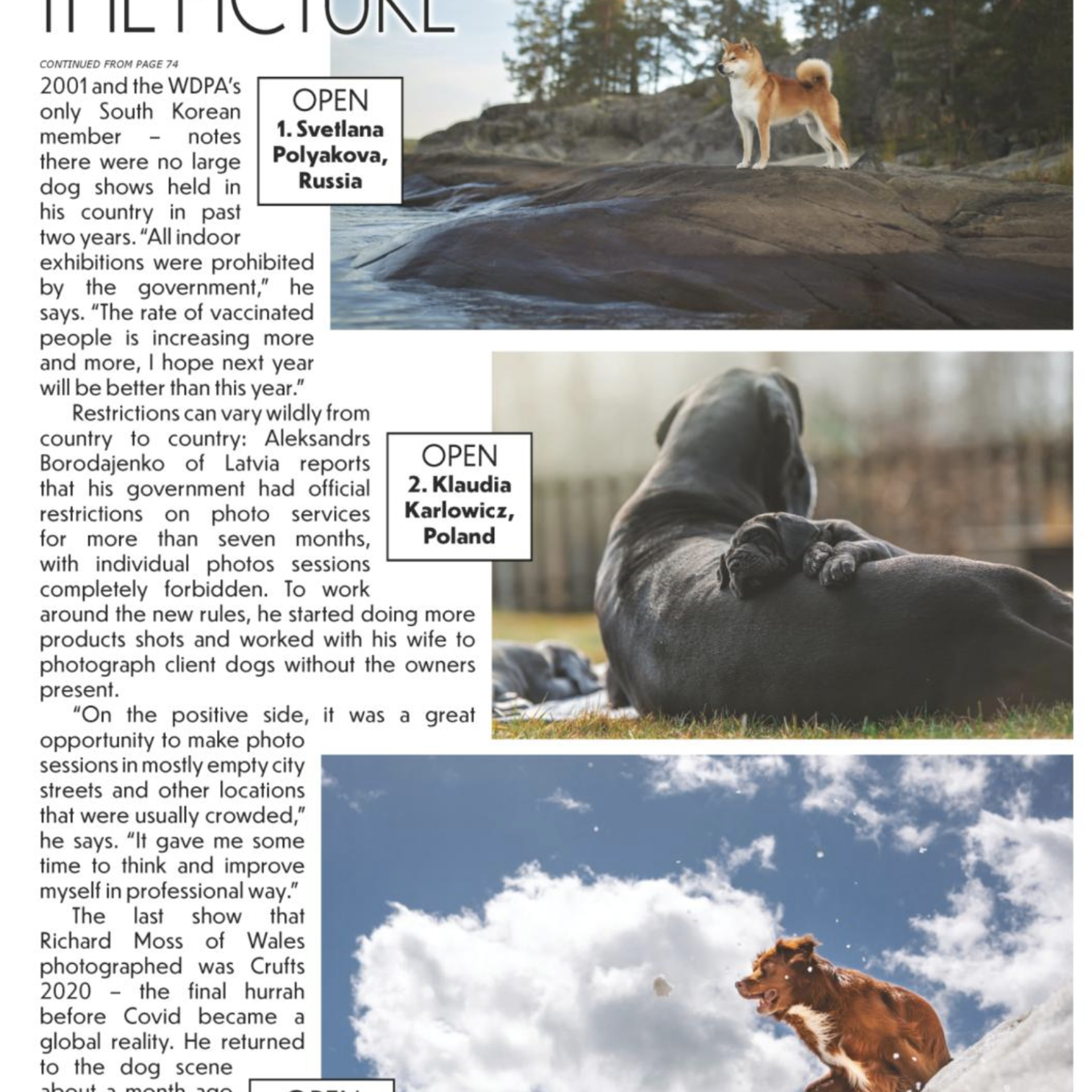 Приятные новости от WDPA. ФОТОГРАФ-АНИМАЛИСТ l LANA POLYAKOVA