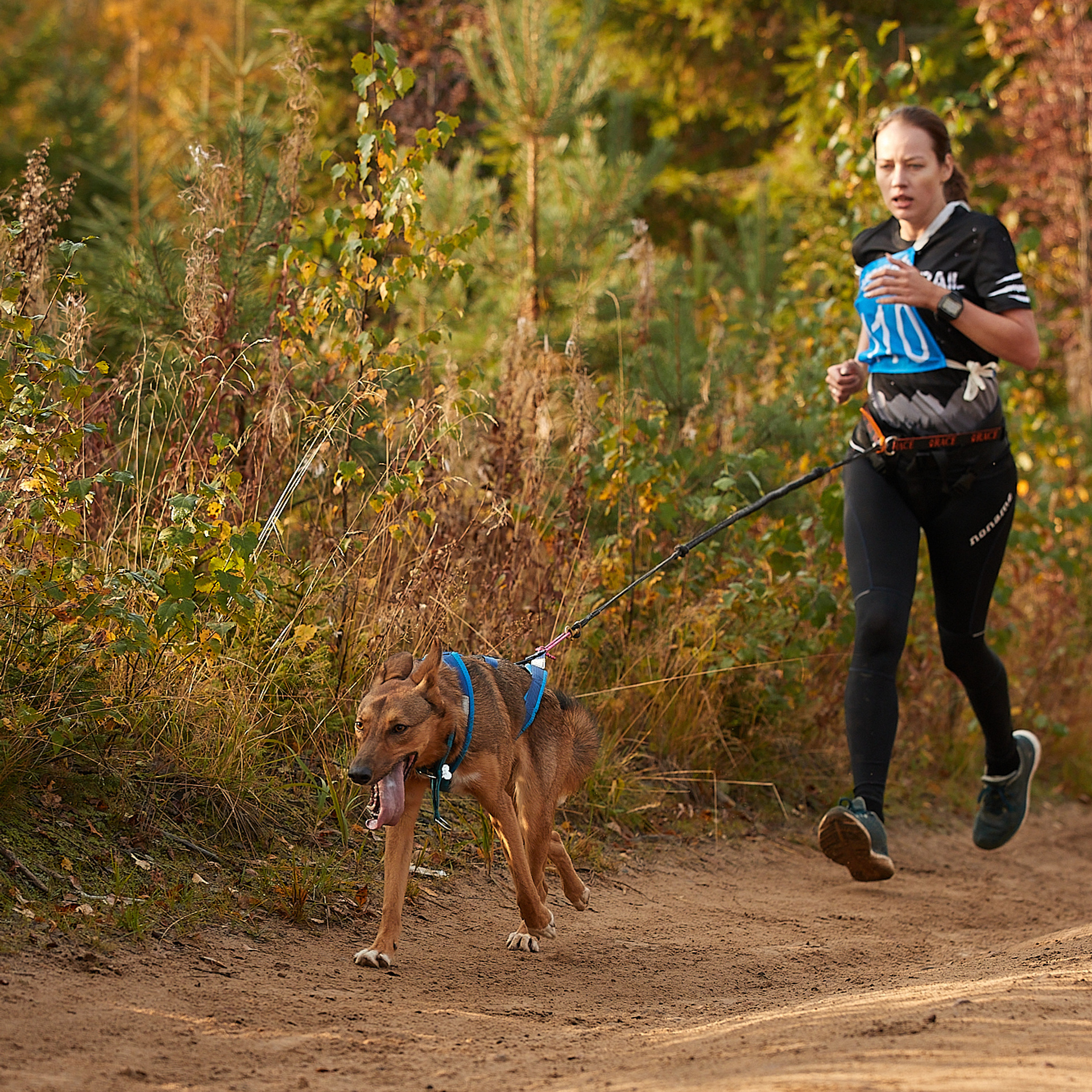 ЧЕМПИОНАТ РОССИИ РКФ 27 сентября 2020 г., 2й день. ФОТОГРАФ-АНИМАЛИСТ l LANA POLYAKOVA