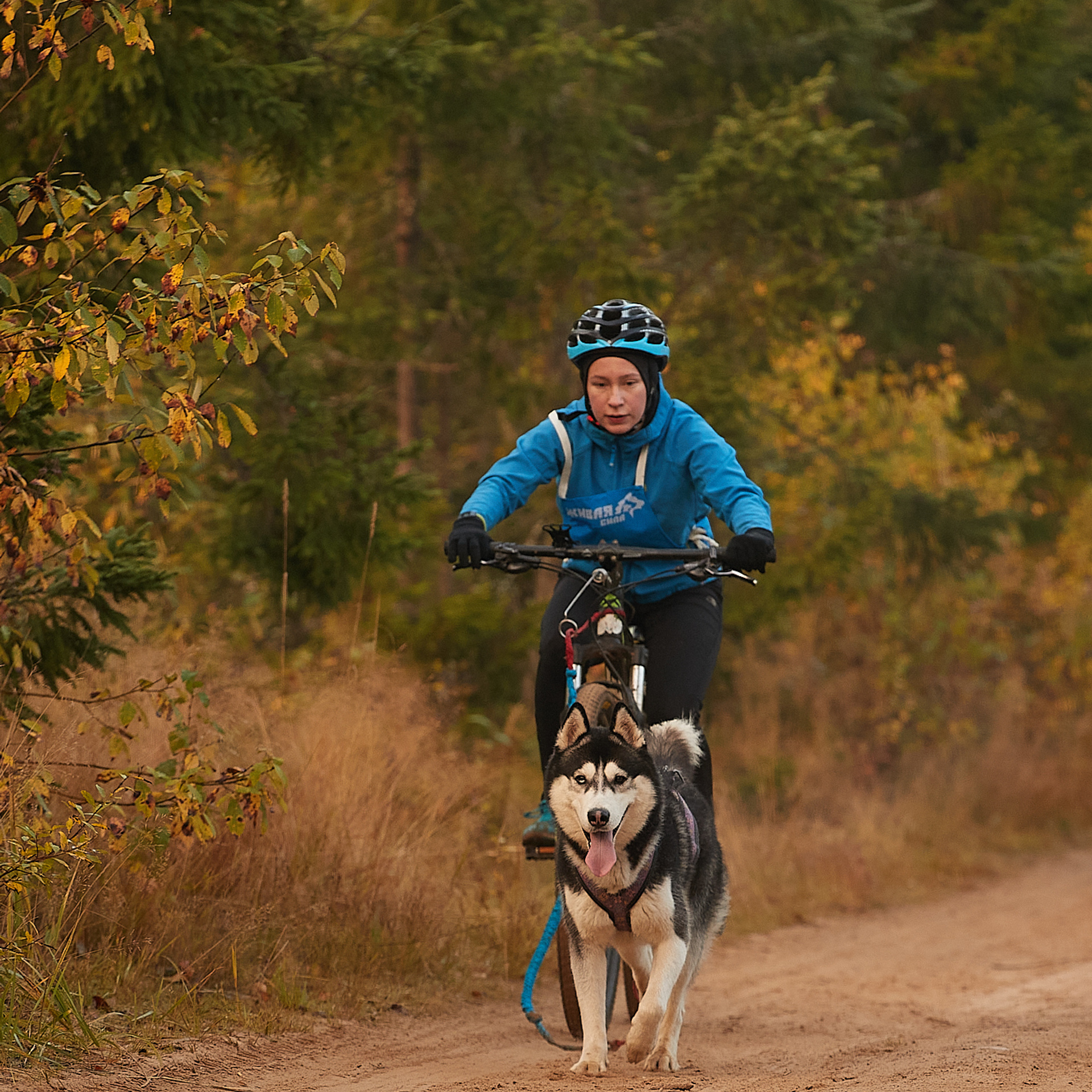 ЧЕМПИОНАТ РОССИИ РКФ 27 сентября 2020 г., 2й день. ФОТОГРАФ-АНИМАЛИСТ l LANA POLYAKOVA