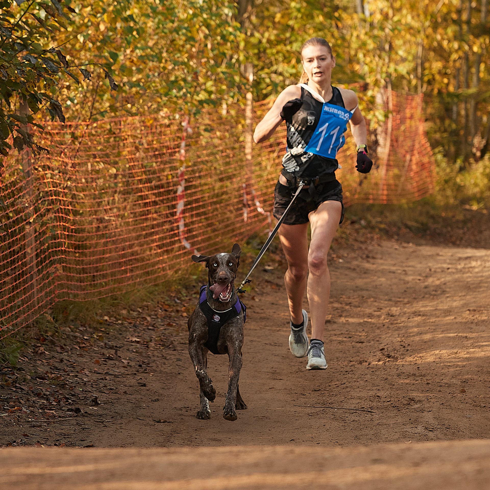 ЧЕМПИОНАТ РОССИИ РКФ 27 сентября 2020 г., 2й день. ФОТОГРАФ-АНИМАЛИСТ l LANA POLYAKOVA