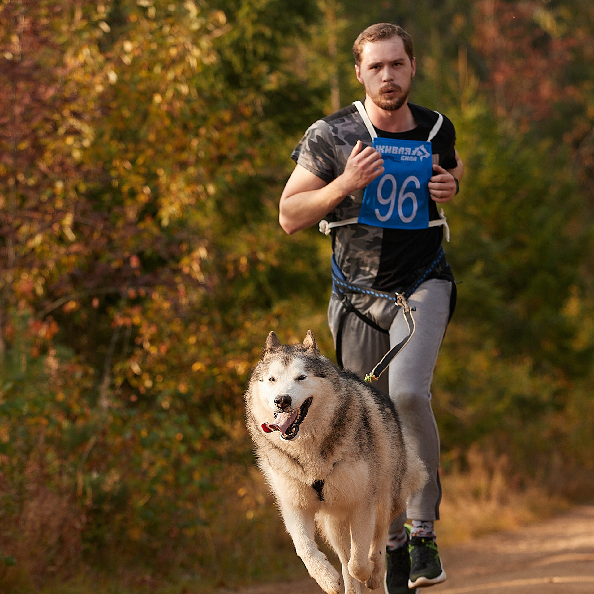ЧЕМПИОНАТ РОССИИ РКФ 27 сентября 2020 г., 2й день. ФОТОГРАФ-АНИМАЛИСТ l LANA POLYAKOVA