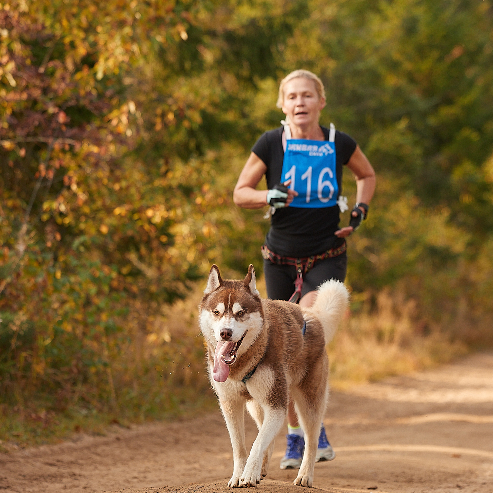 ЧЕМПИОНАТ РОССИИ РКФ 27 сентября 2020 г., 2й день. ФОТОГРАФ-АНИМАЛИСТ l LANA POLYAKOVA
