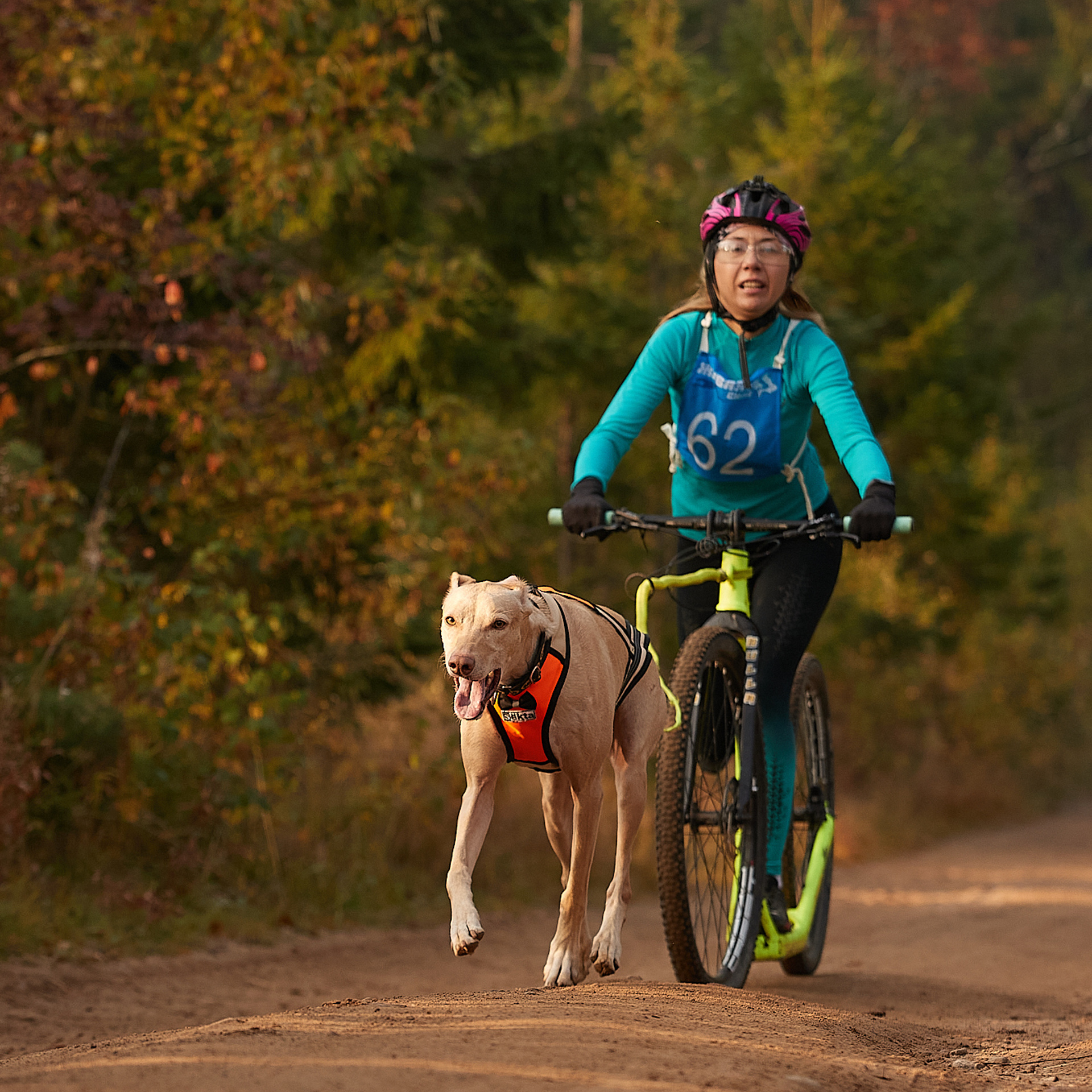 ЧЕМПИОНАТ РОССИИ РКФ 27 сентября 2020 г., 2й день. ФОТОГРАФ-АНИМАЛИСТ l LANA POLYAKOVA