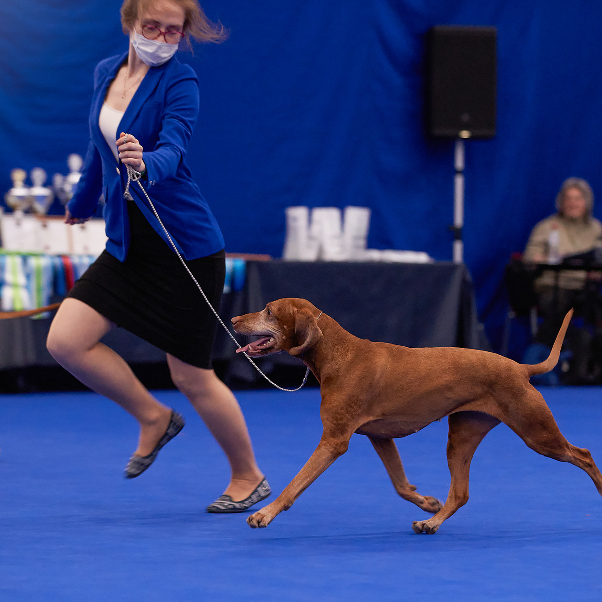 24-25.04.21 CACIB в Санкт-Петербурге. ФОТОГРАФ-АНИМАЛИСТ l LANA POLYAKOVA