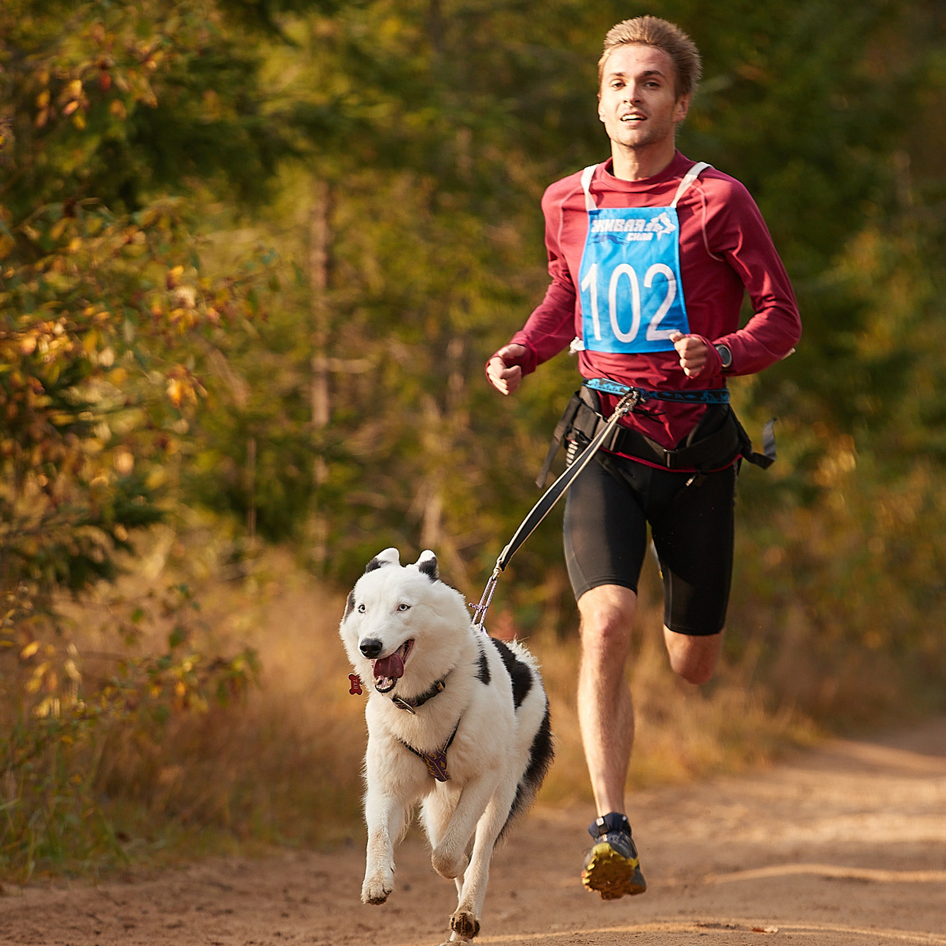 ЧЕМПИОНАТ РОССИИ РКФ 27 сентября 2020 г., 2й день. ФОТОГРАФ-АНИМАЛИСТ l LANA POLYAKOVA