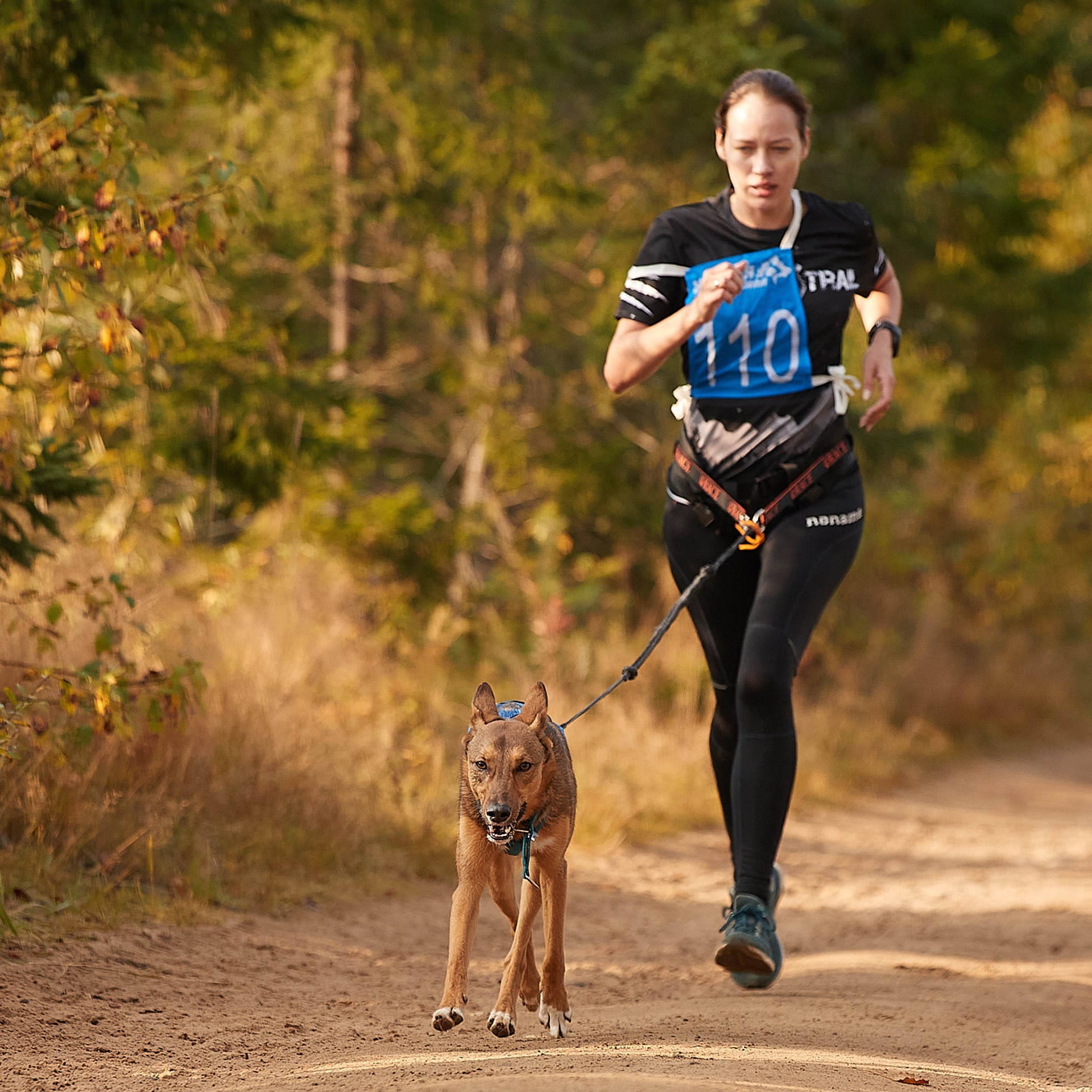 ЧЕМПИОНАТ РОССИИ РКФ 27 сентября 2020 г., 2й день. ФОТОГРАФ-АНИМАЛИСТ l LANA POLYAKOVA