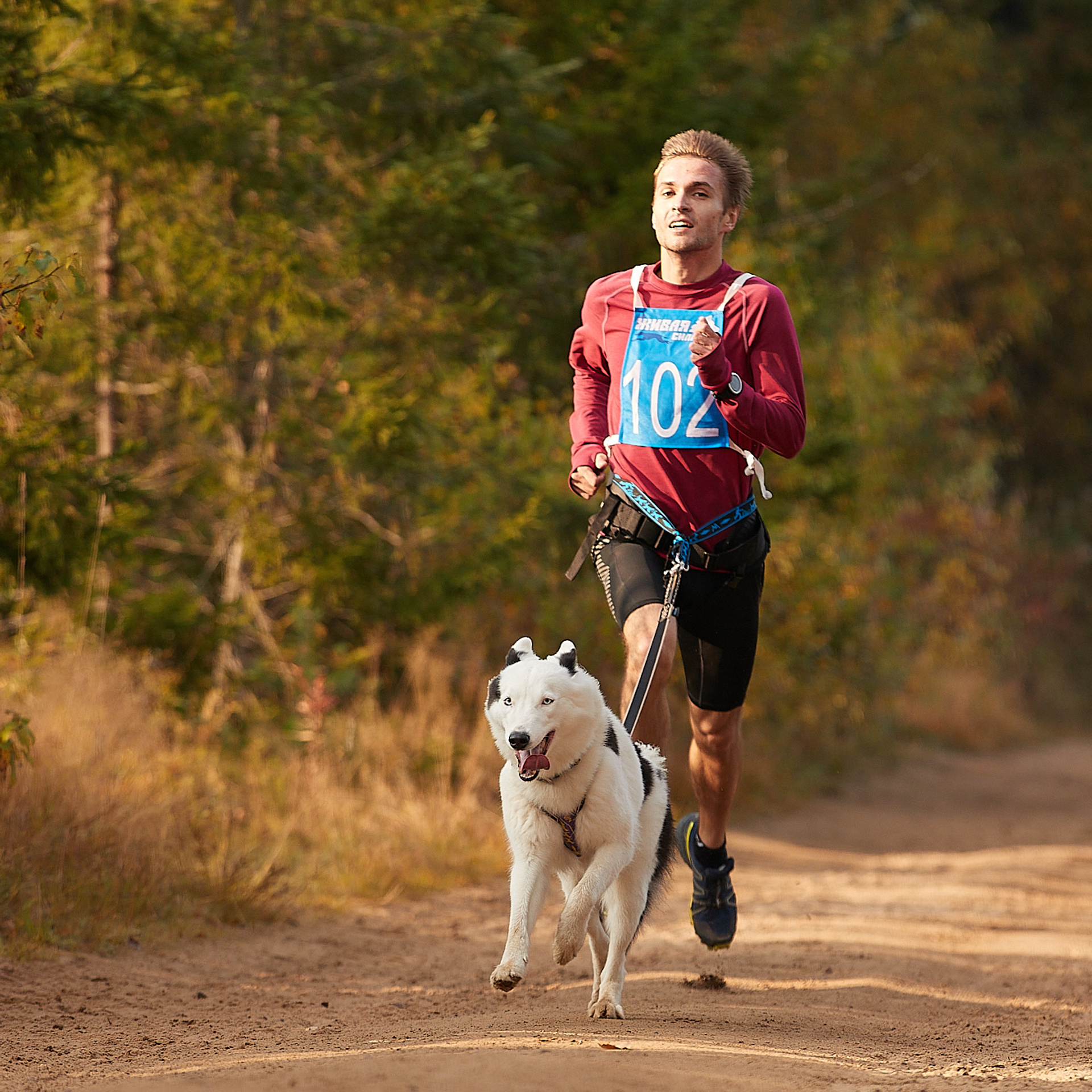 ЧЕМПИОНАТ РОССИИ РКФ 27 сентября 2020 г., 2й день. ФОТОГРАФ-АНИМАЛИСТ l LANA POLYAKOVA