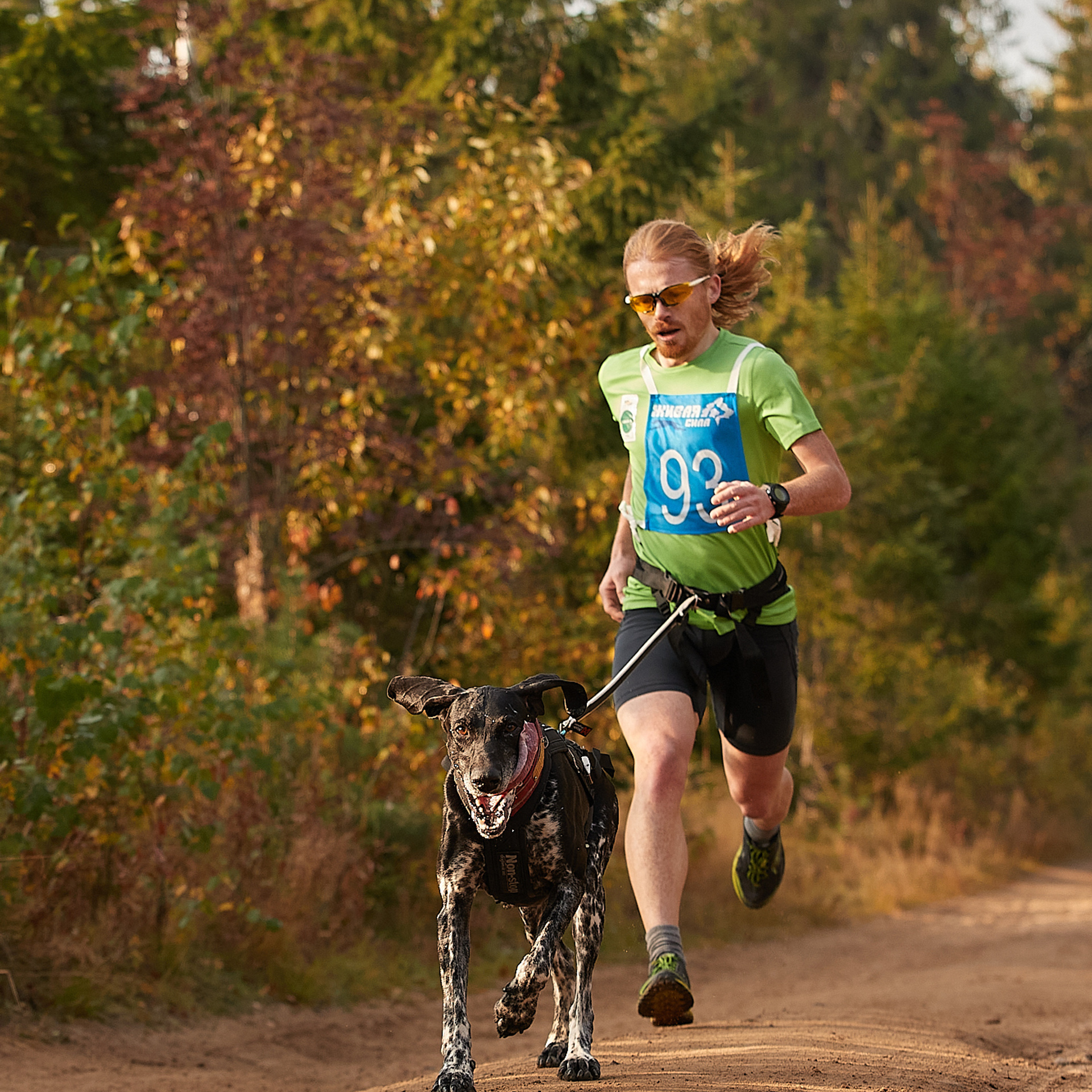 ЧЕМПИОНАТ РОССИИ РКФ 27 сентября 2020 г., 2й день. ФОТОГРАФ-АНИМАЛИСТ l LANA POLYAKOVA