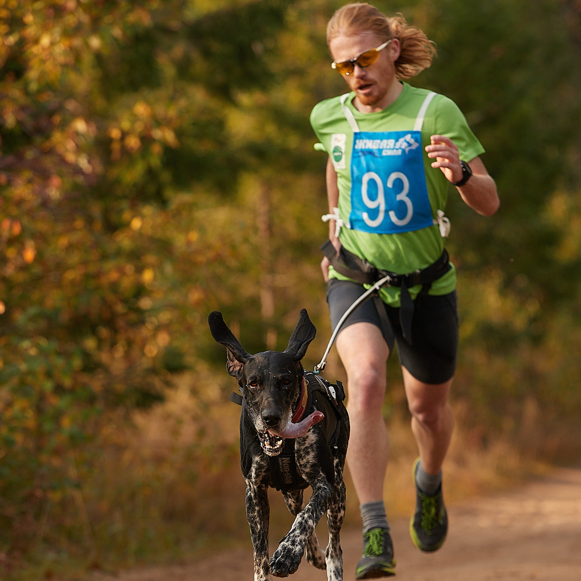 ЧЕМПИОНАТ РОССИИ РКФ 27 сентября 2020 г., 2й день. ФОТОГРАФ-АНИМАЛИСТ l LANA POLYAKOVA