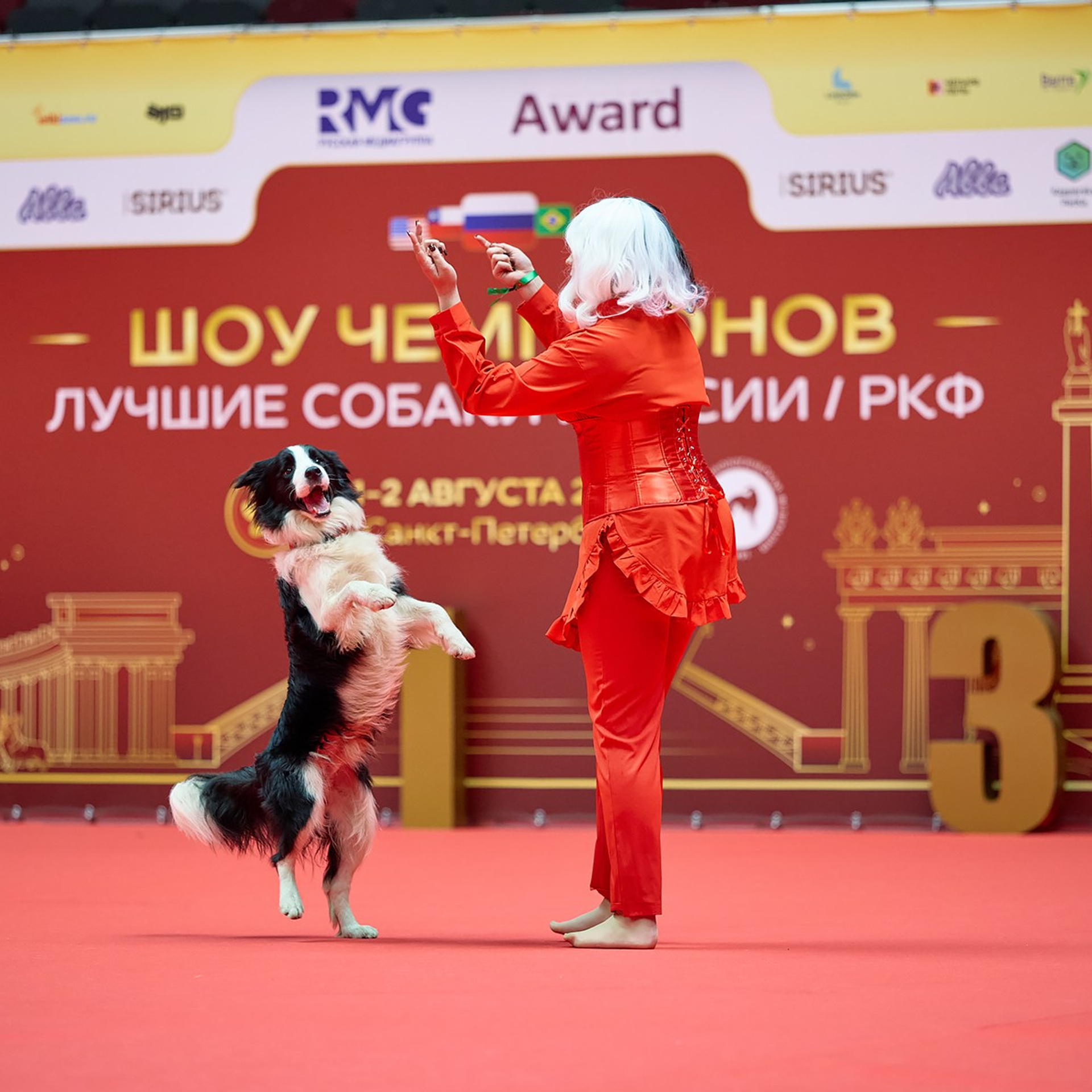 Выставка Лучшие собаки России / РКФ Санкт-Петербург. ФОТОГРАФ-АНИМАЛИСТ l LANA POLYAKOVA