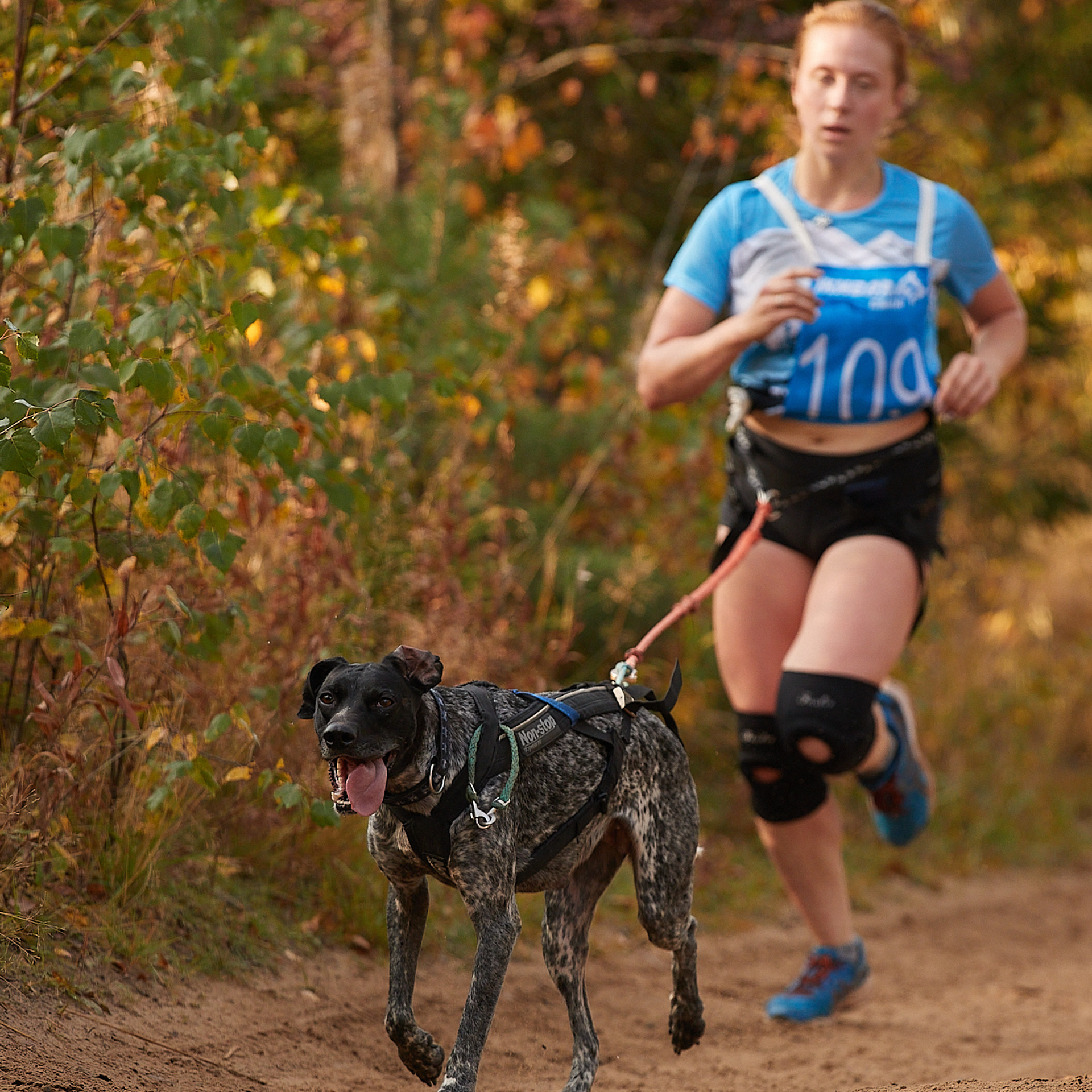 ЧЕМПИОНАТ РОССИИ РКФ 27 сентября 2020 г., 2й день. ФОТОГРАФ-АНИМАЛИСТ l LANA POLYAKOVA