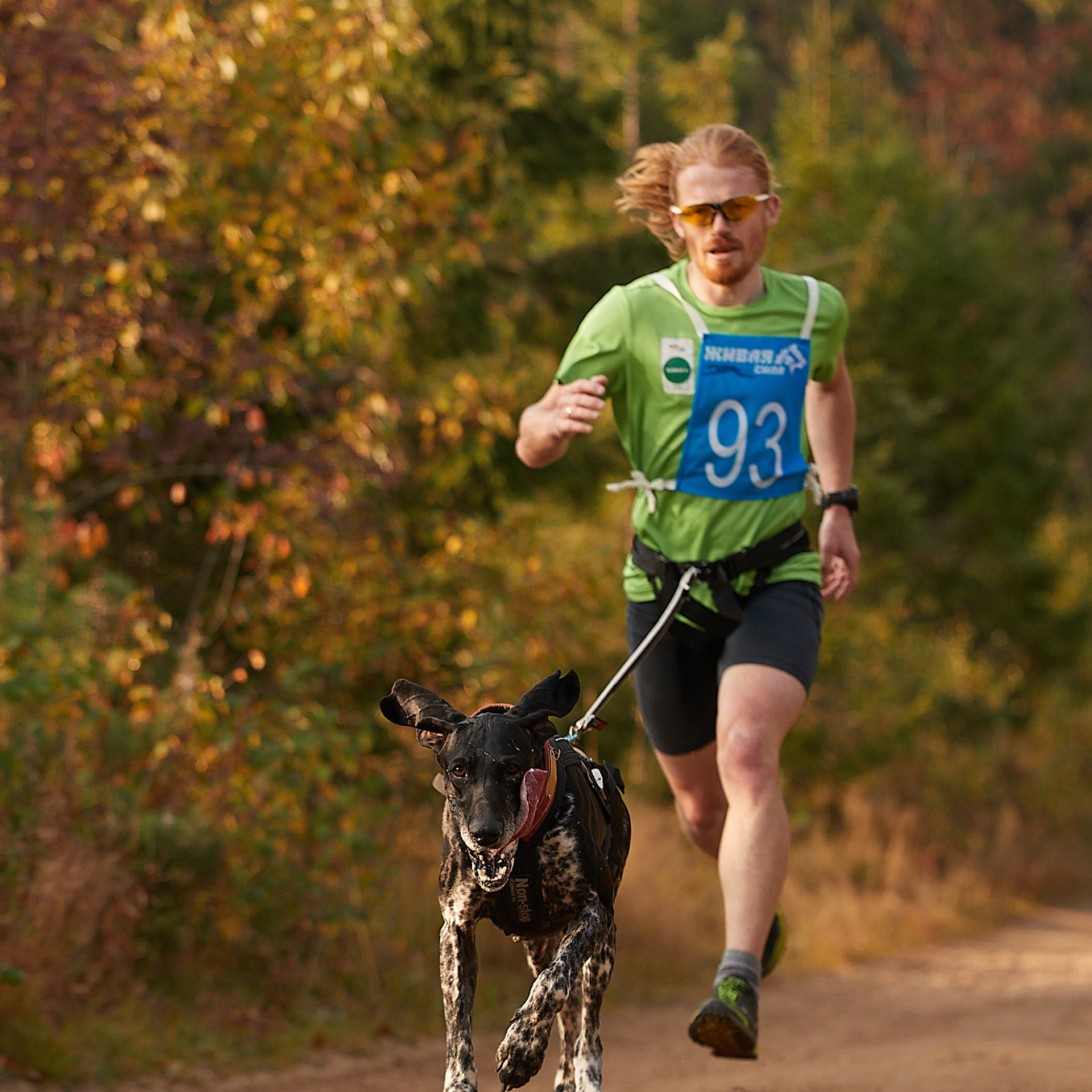 ЧЕМПИОНАТ РОССИИ РКФ 27 сентября 2020 г., 2й день. ФОТОГРАФ-АНИМАЛИСТ l LANA POLYAKOVA