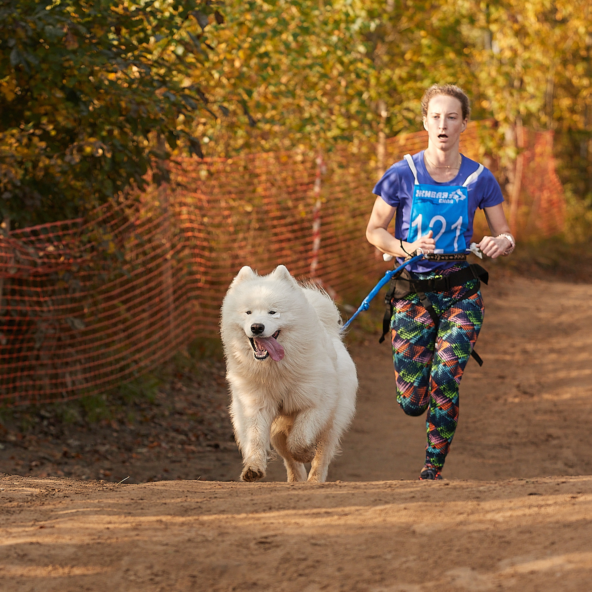 ЧЕМПИОНАТ РОССИИ РКФ 27 сентября 2020 г., 2й день. ФОТОГРАФ-АНИМАЛИСТ l LANA POLYAKOVA