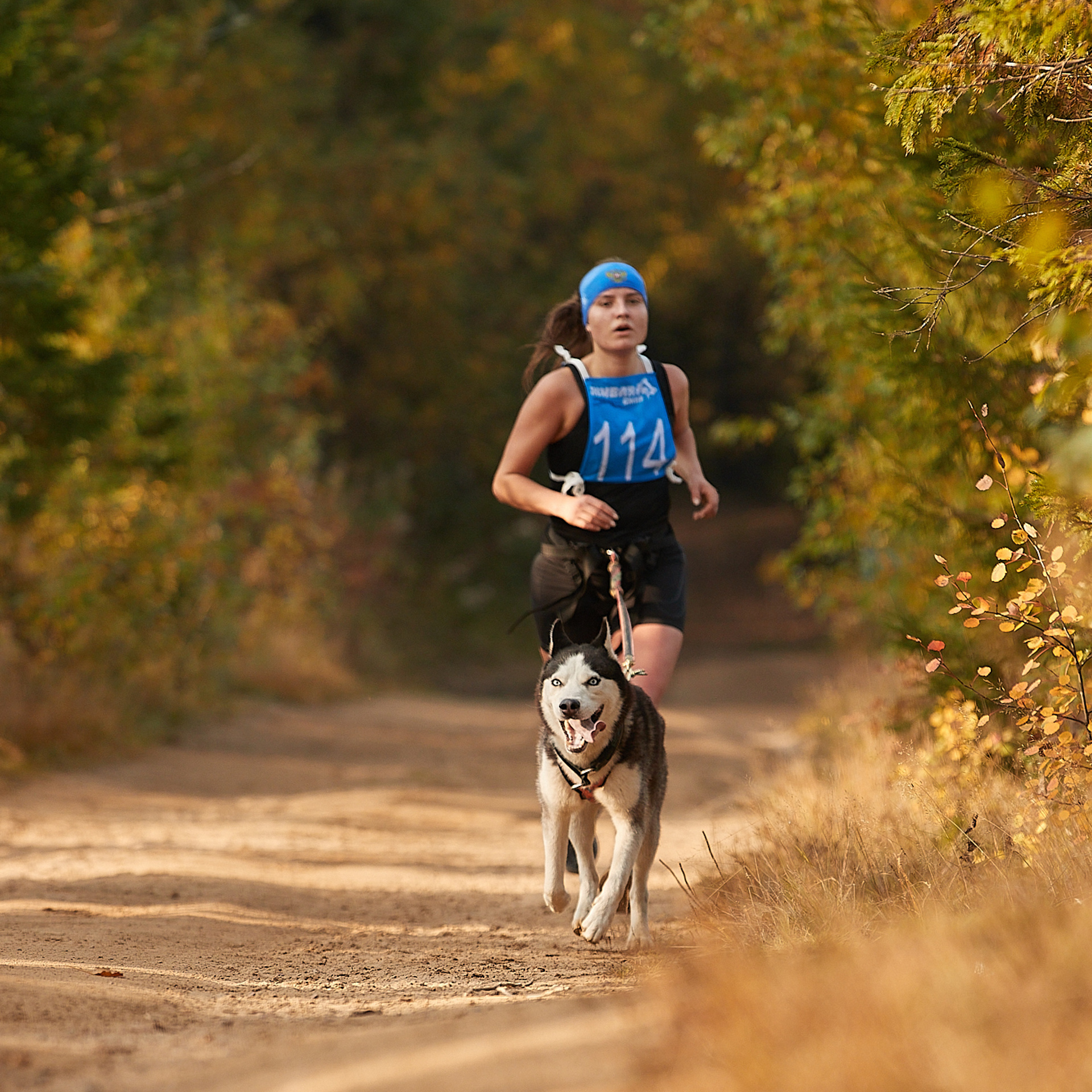 ЧЕМПИОНАТ РОССИИ РКФ 27 сентября 2020 г., 2й день. ФОТОГРАФ-АНИМАЛИСТ l LANA POLYAKOVA