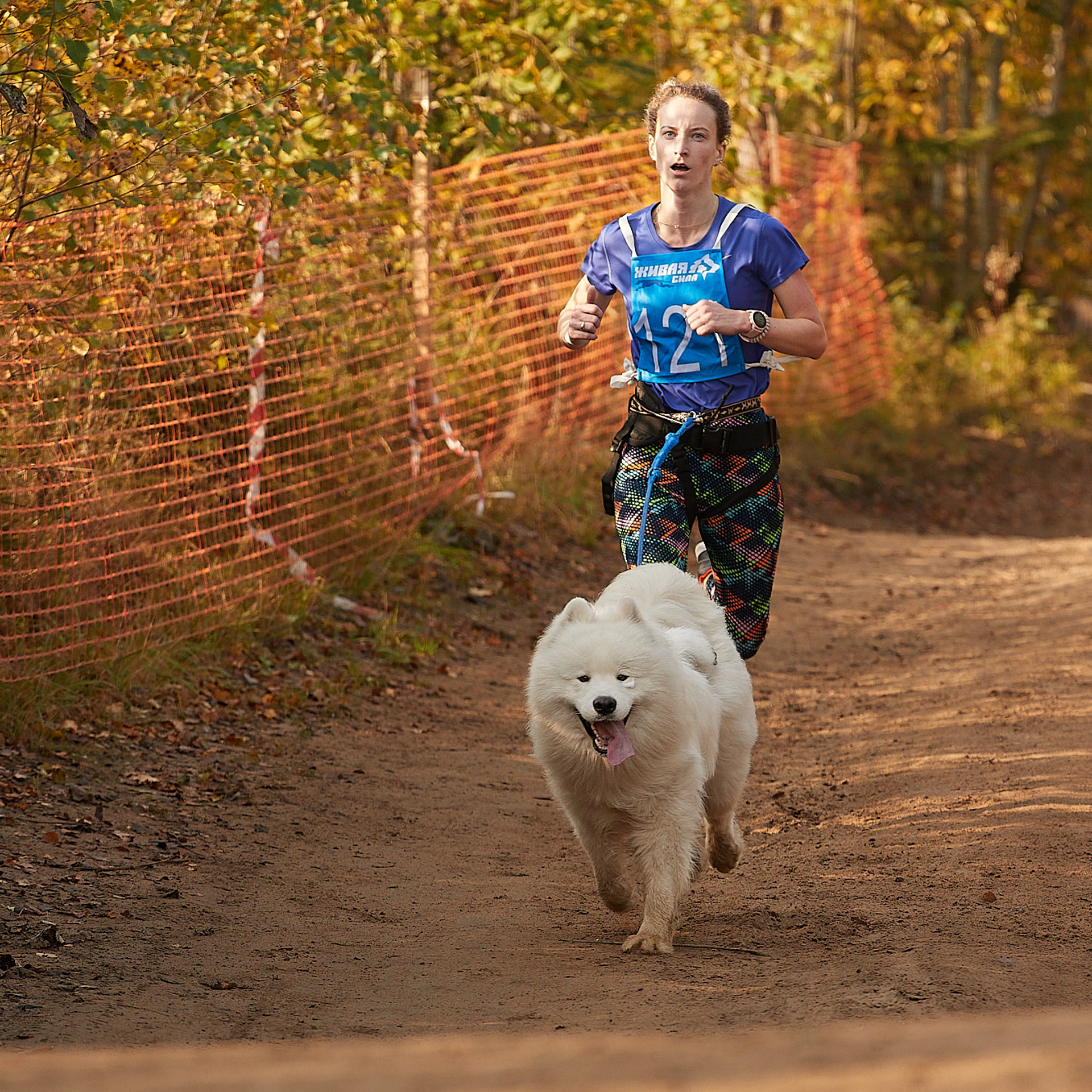ЧЕМПИОНАТ РОССИИ РКФ 27 сентября 2020 г., 2й день. ФОТОГРАФ-АНИМАЛИСТ l LANA POLYAKOVA