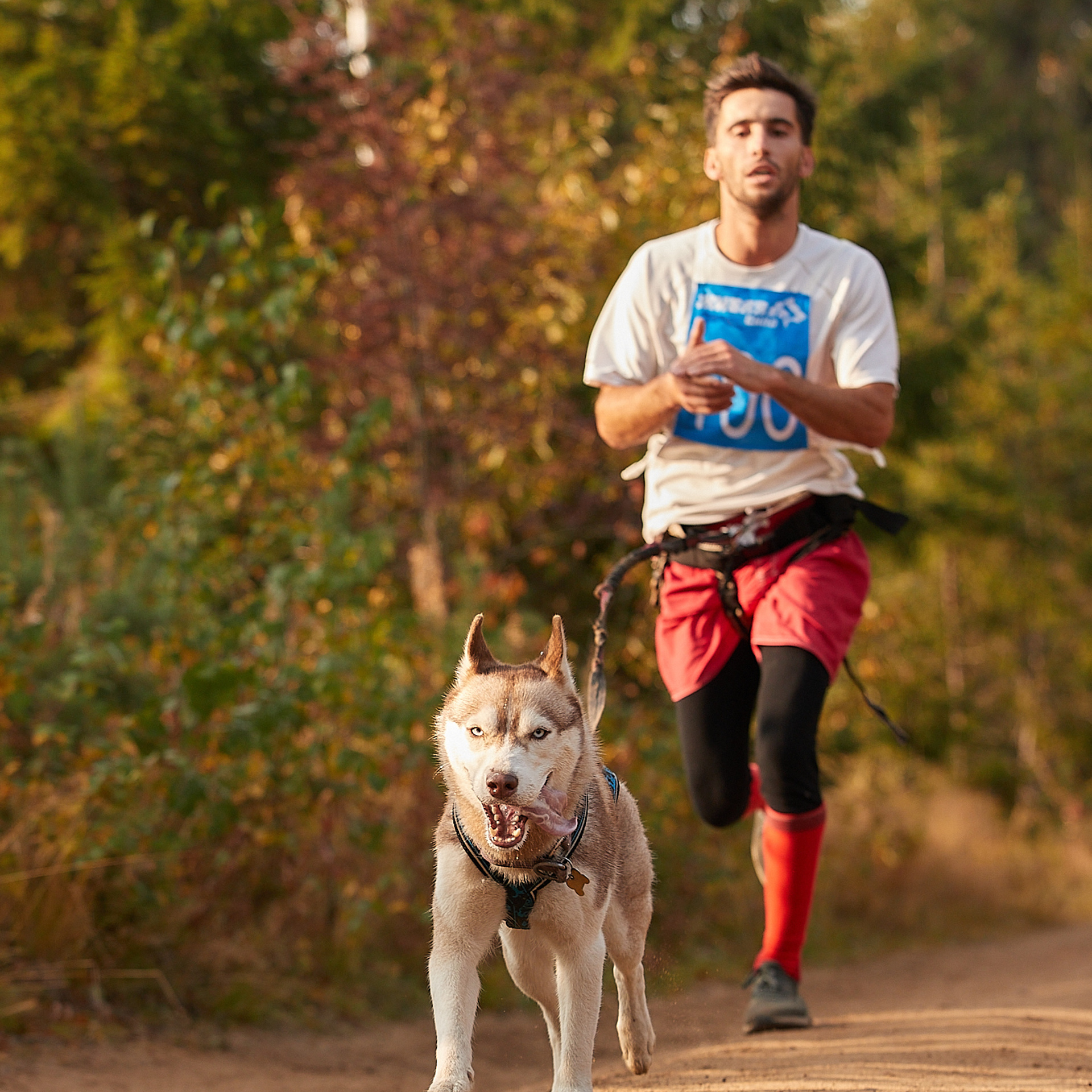 ЧЕМПИОНАТ РОССИИ РКФ 27 сентября 2020 г., 2й день. ФОТОГРАФ-АНИМАЛИСТ l LANA POLYAKOVA