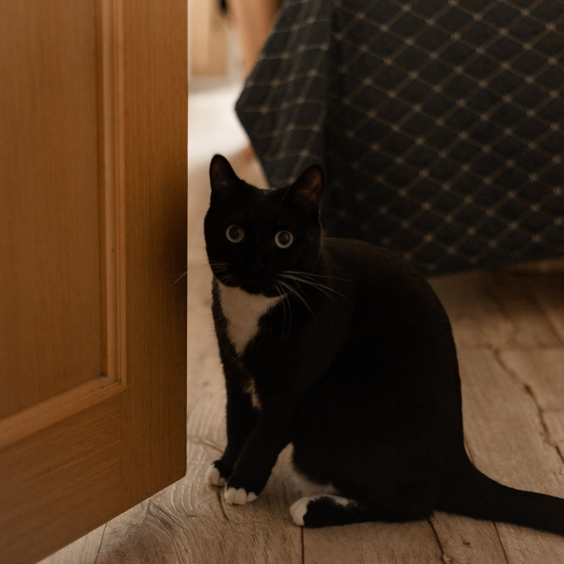 Отзывы. Фотограф в Омске Мария Попова