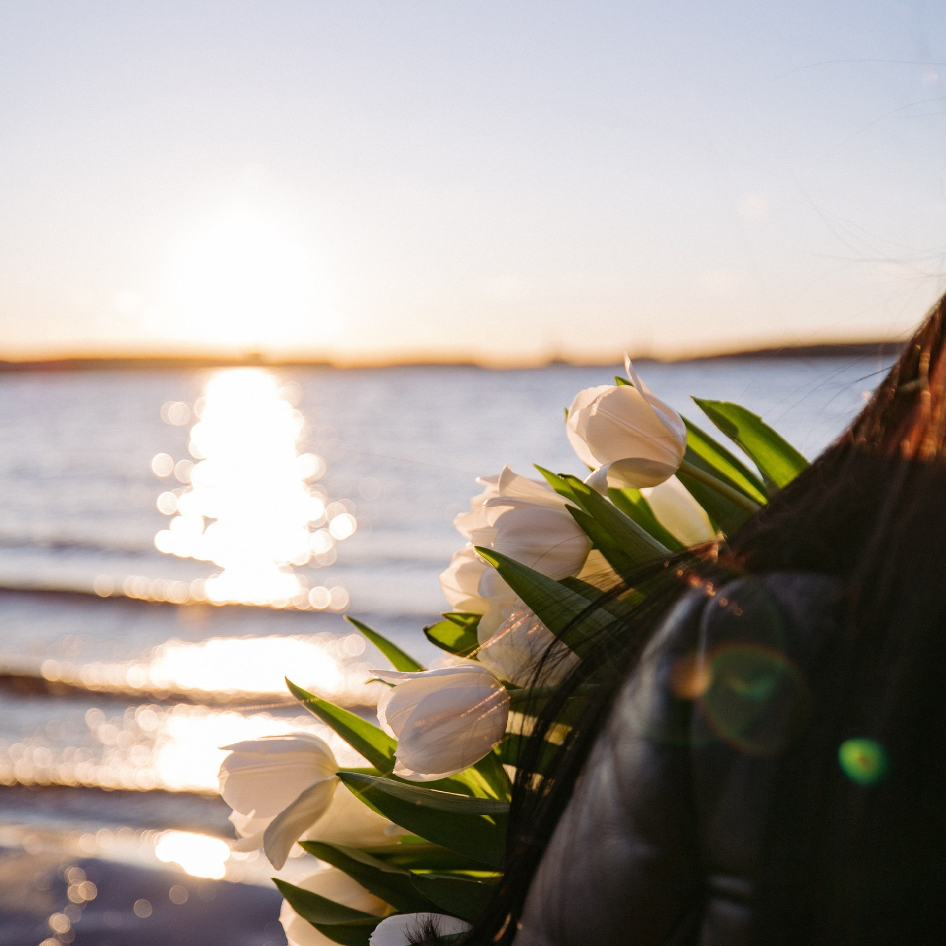 Отзывы. Свадебный фотограф Церковная Алёна.Десногорск, Смоленск