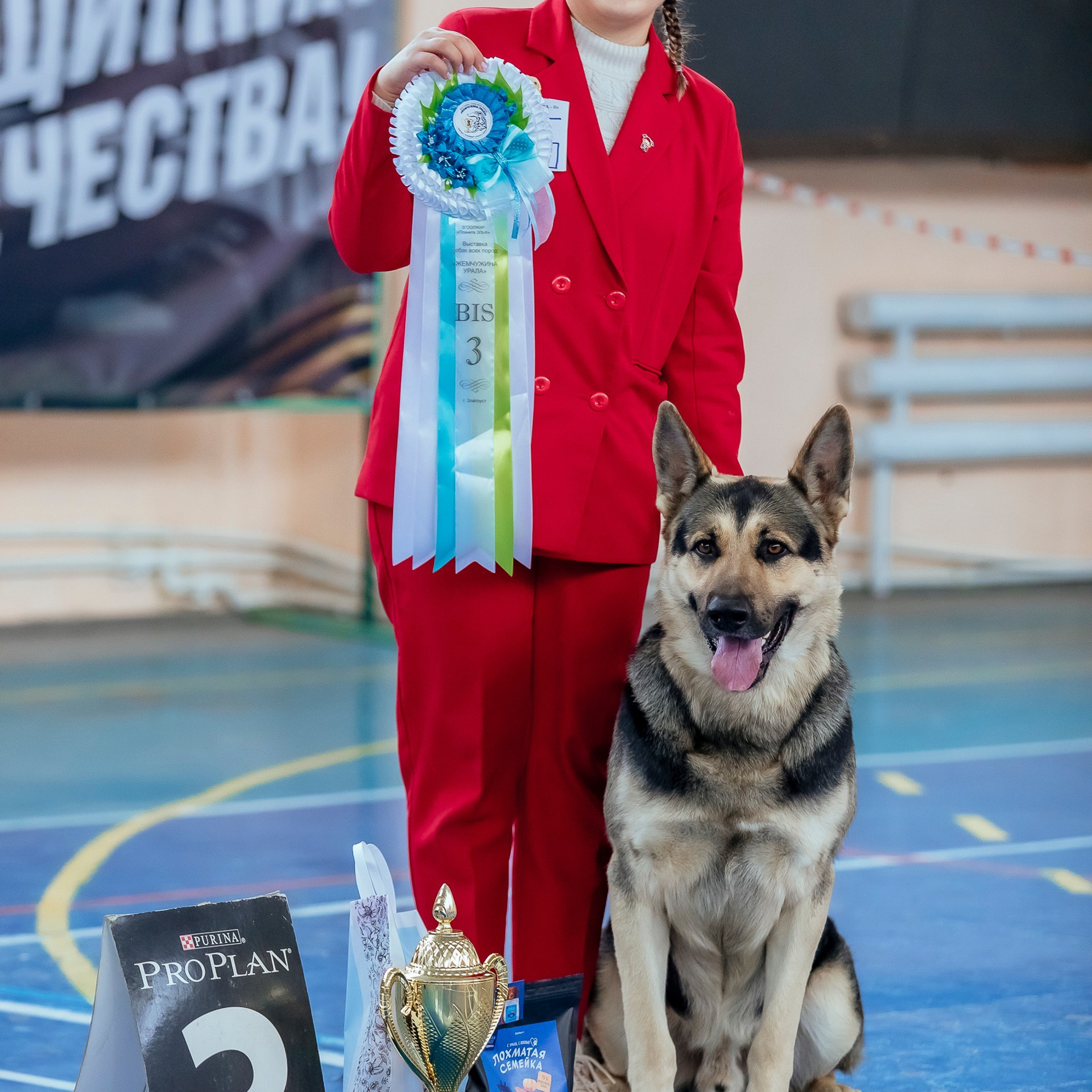 Спортзалы «40 пресетов». Фотограф — видеограф Алиса Дружинина