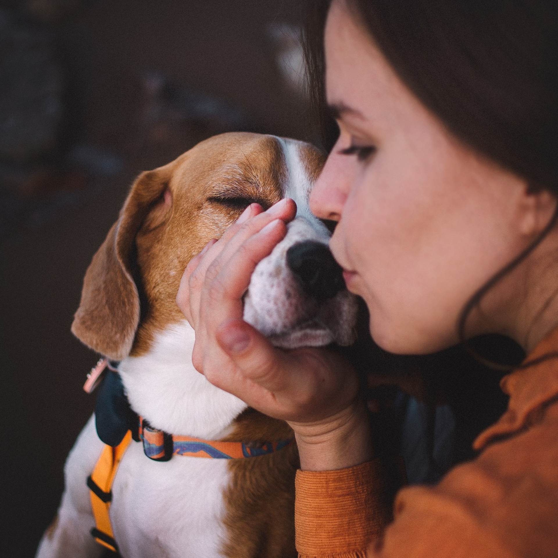 Отзывы. Фотограф-анималист в городе Санкт-Петербург — Сергеева Лилия