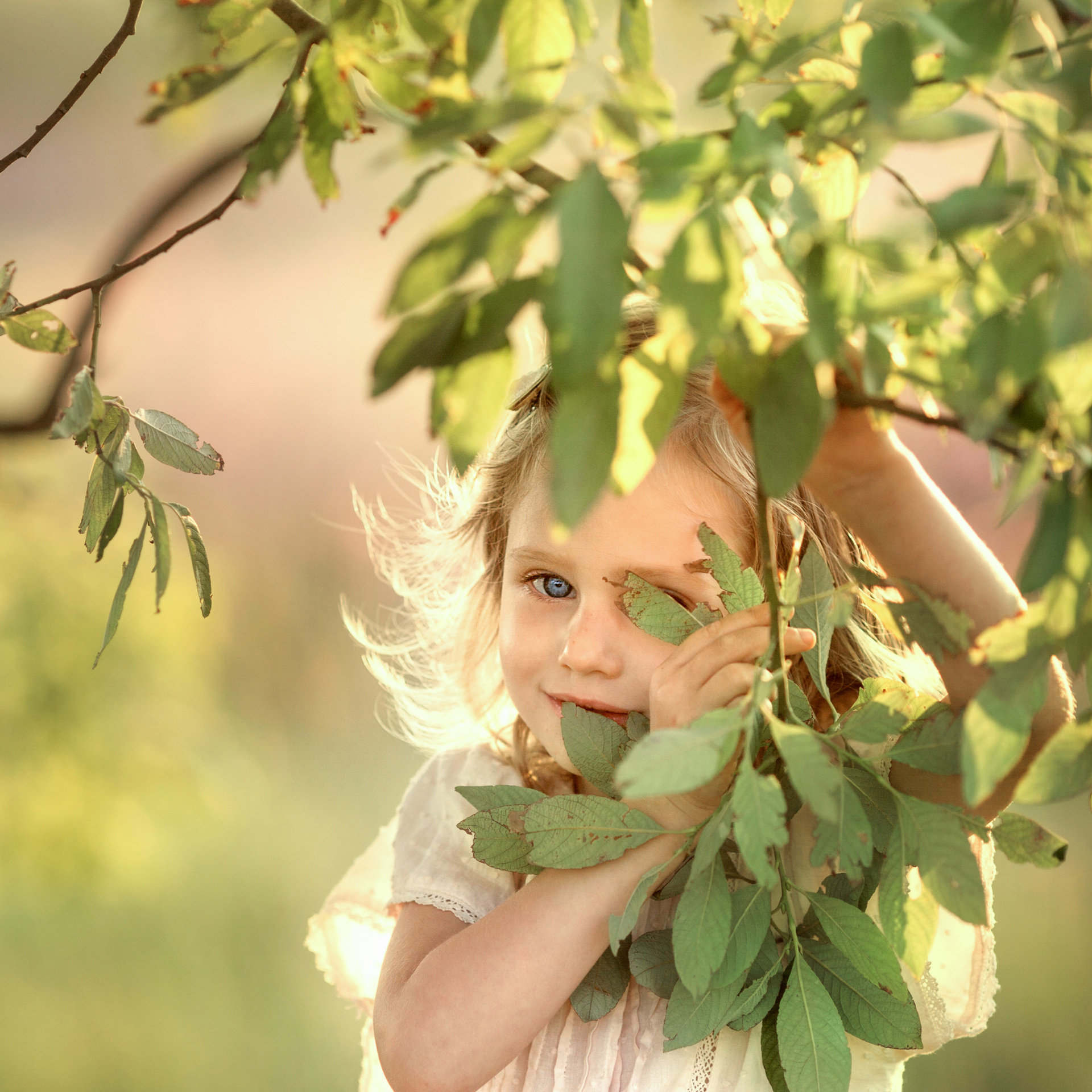 Солнечный вечер