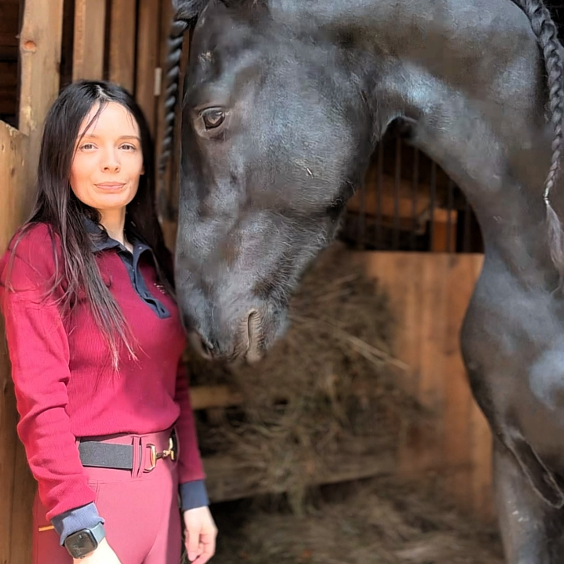 Отзывы. Friesian Alliance. Фризы Росиии