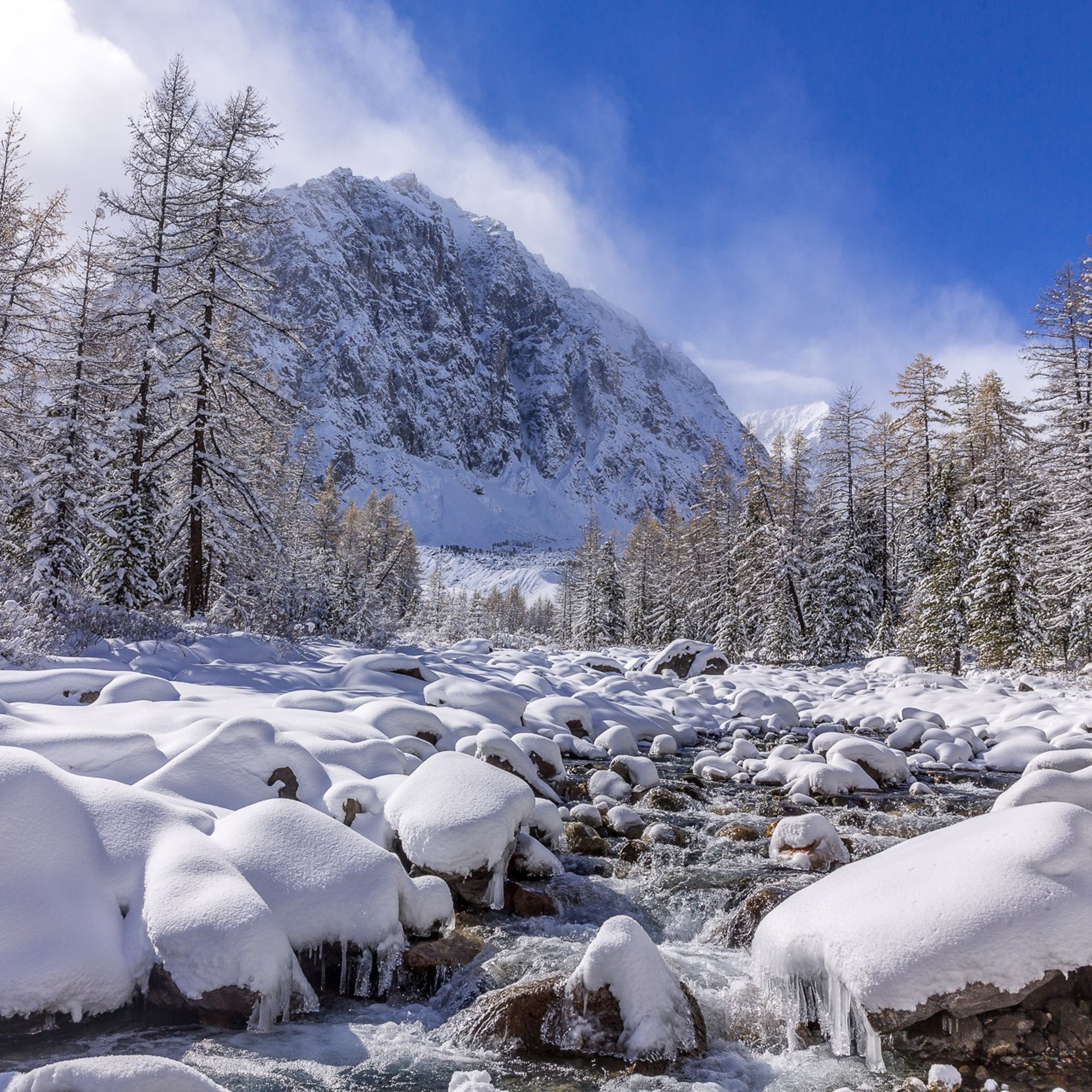 Алтай зима