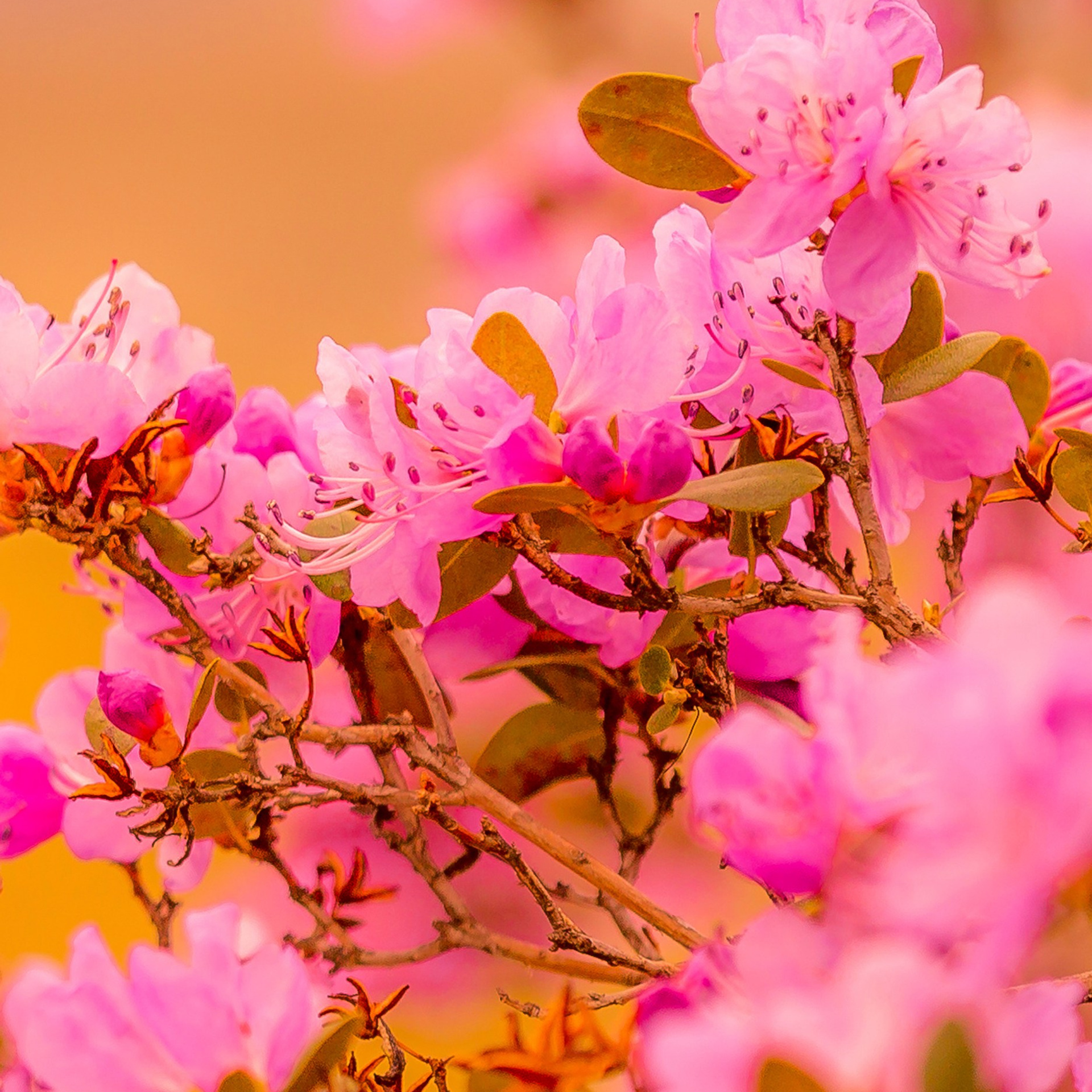 Модульная фотокартина № 2 — 120*90 см. Фотограф Евгений Кожевников