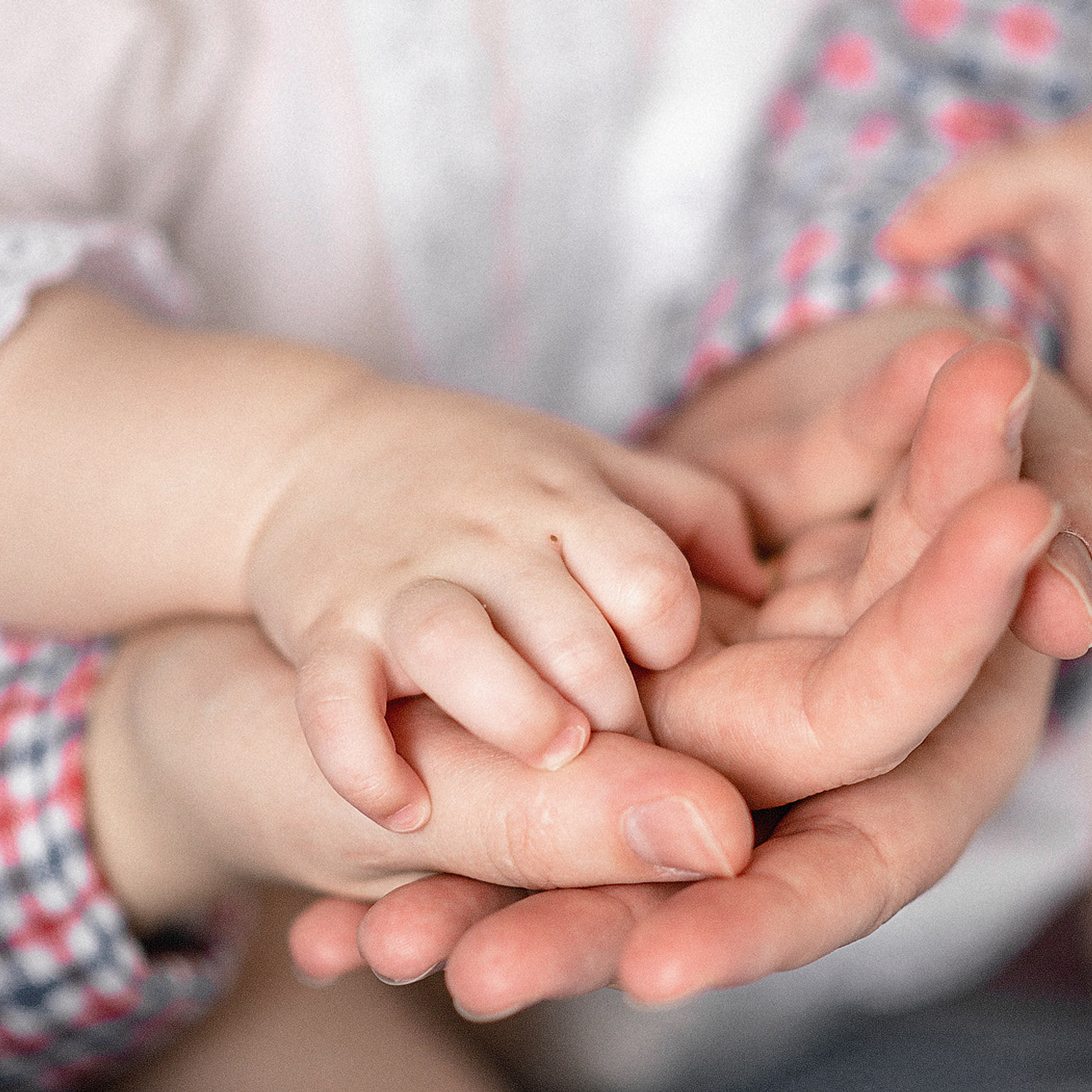 Домашняя фотосъемка