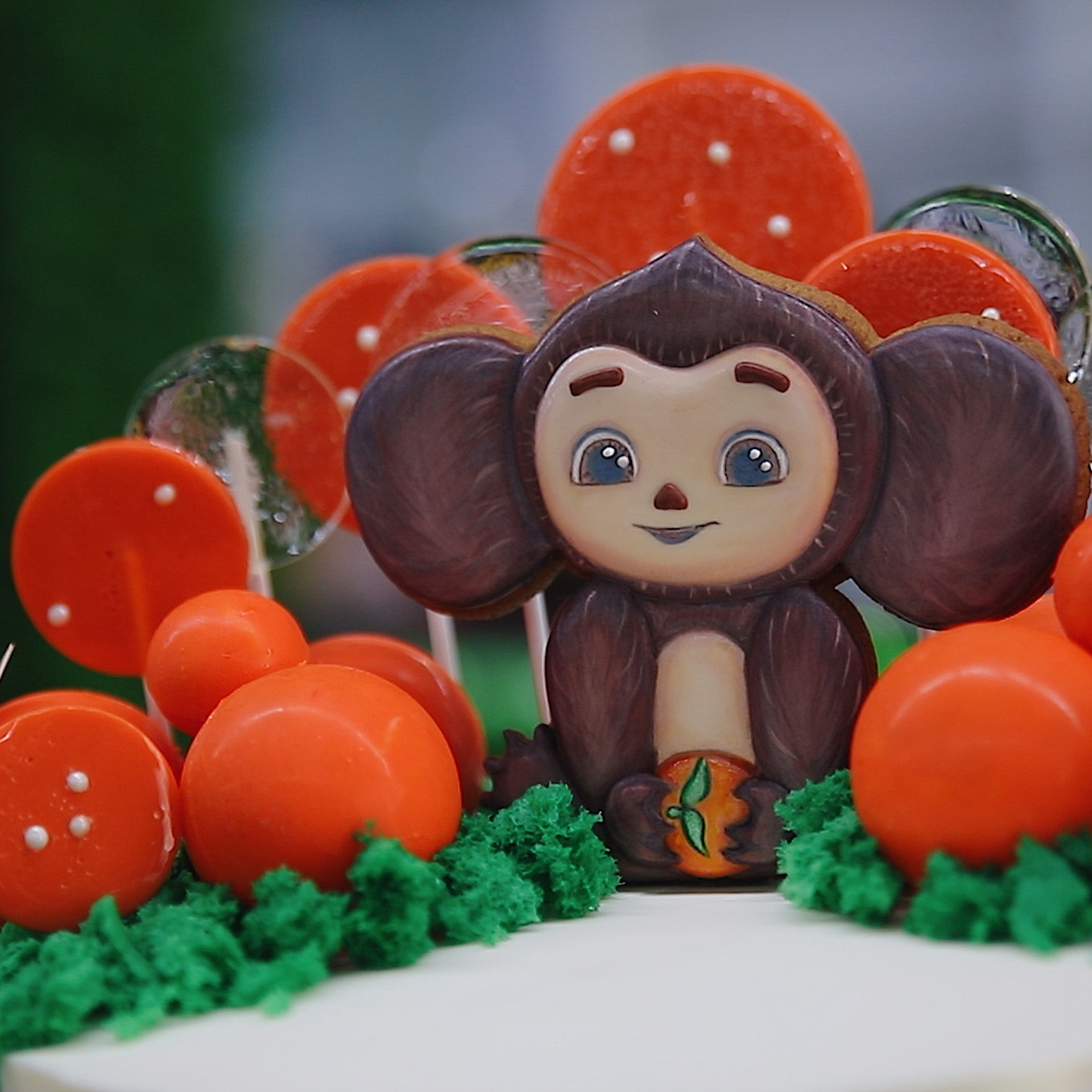 Отзывы. Видеосъёмка праздников в Краснодаре