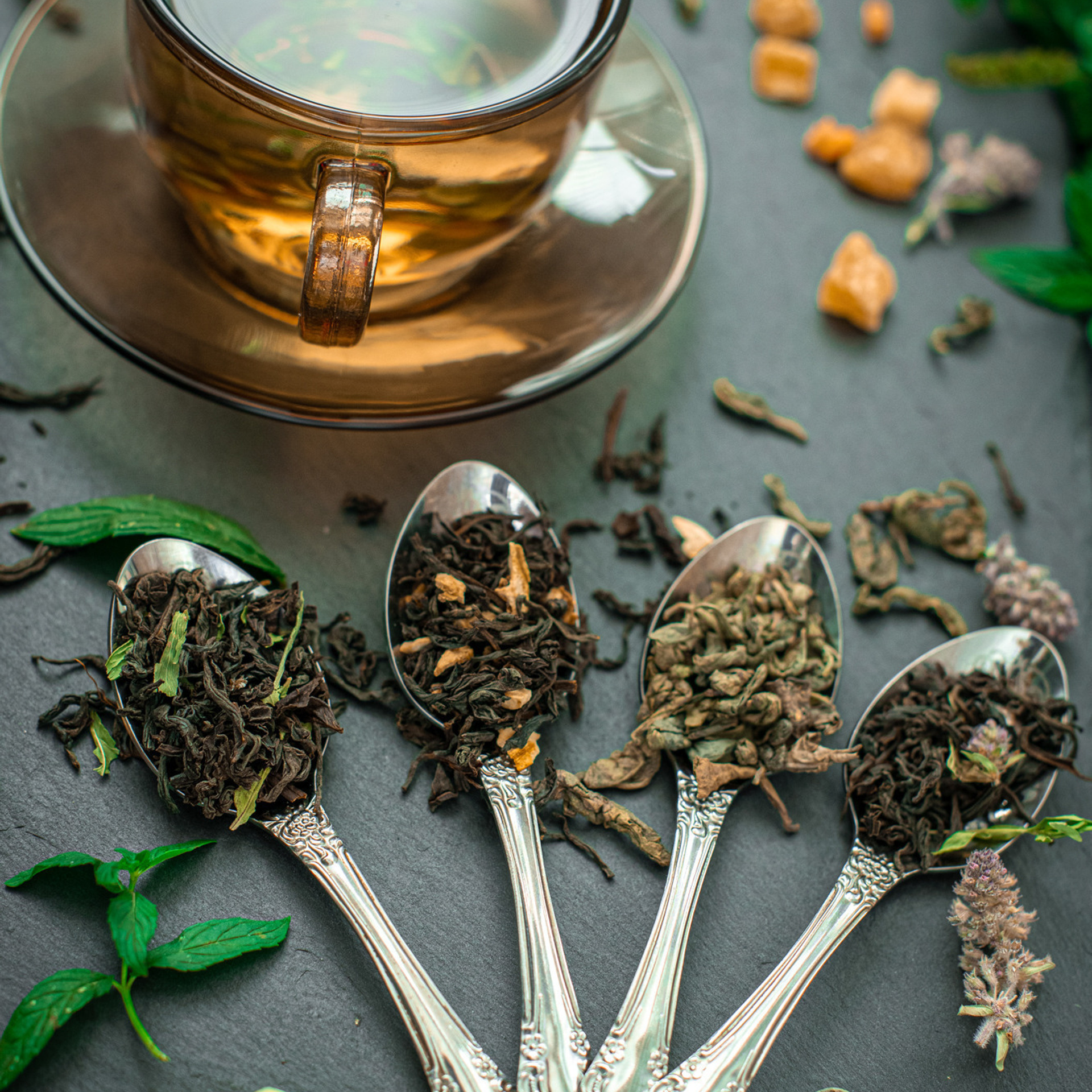 Отзывы. Фотохудожник Нина Жихарева