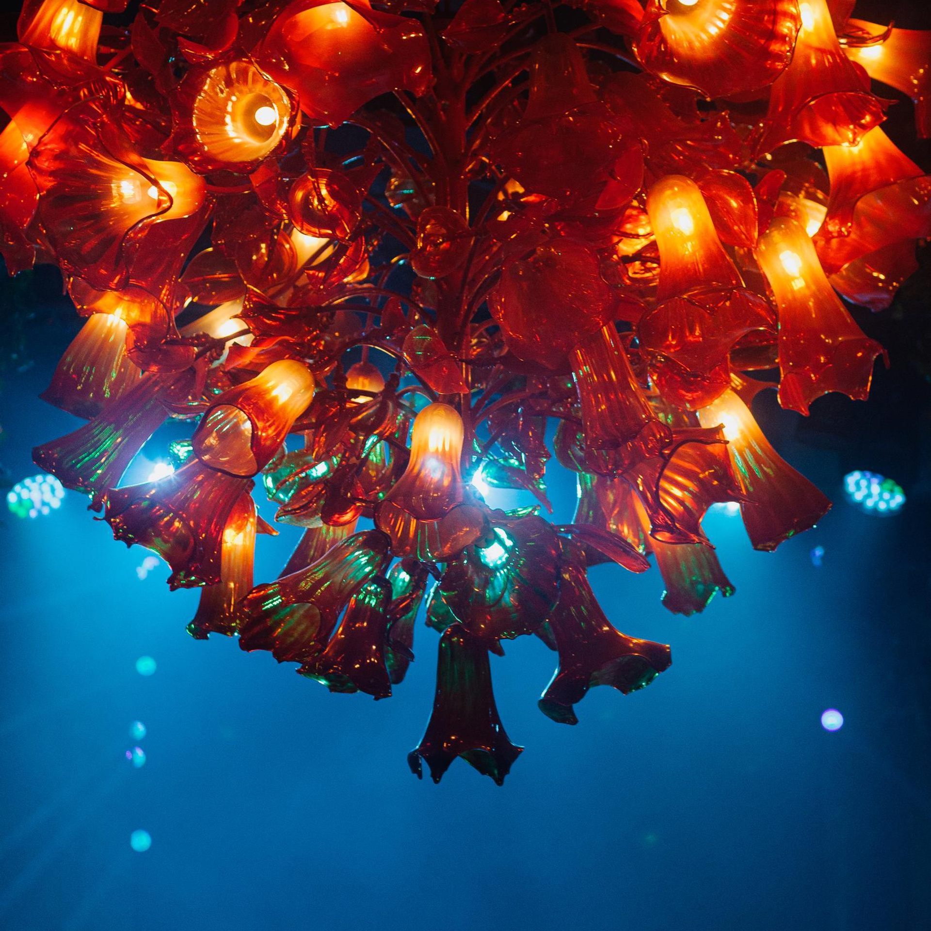 Отзывы. Свадебный и семейный фотограф в Кирове, Малых Никита