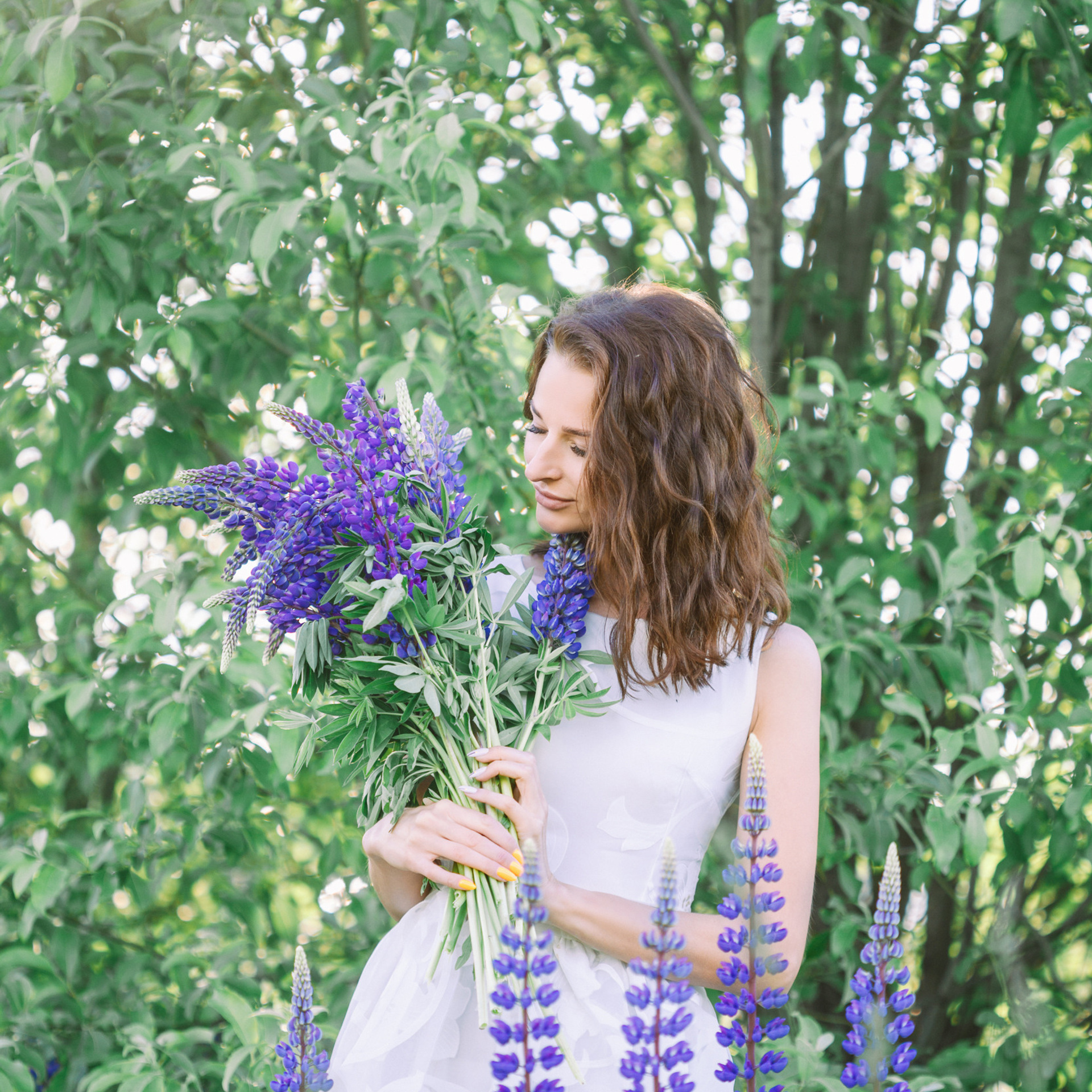 Лена. Люпины