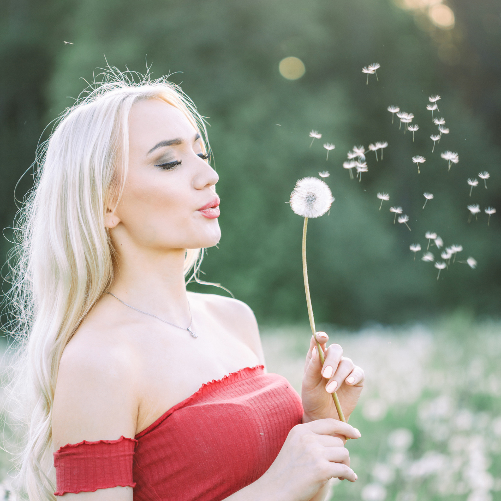 Надежда. Одуванчики