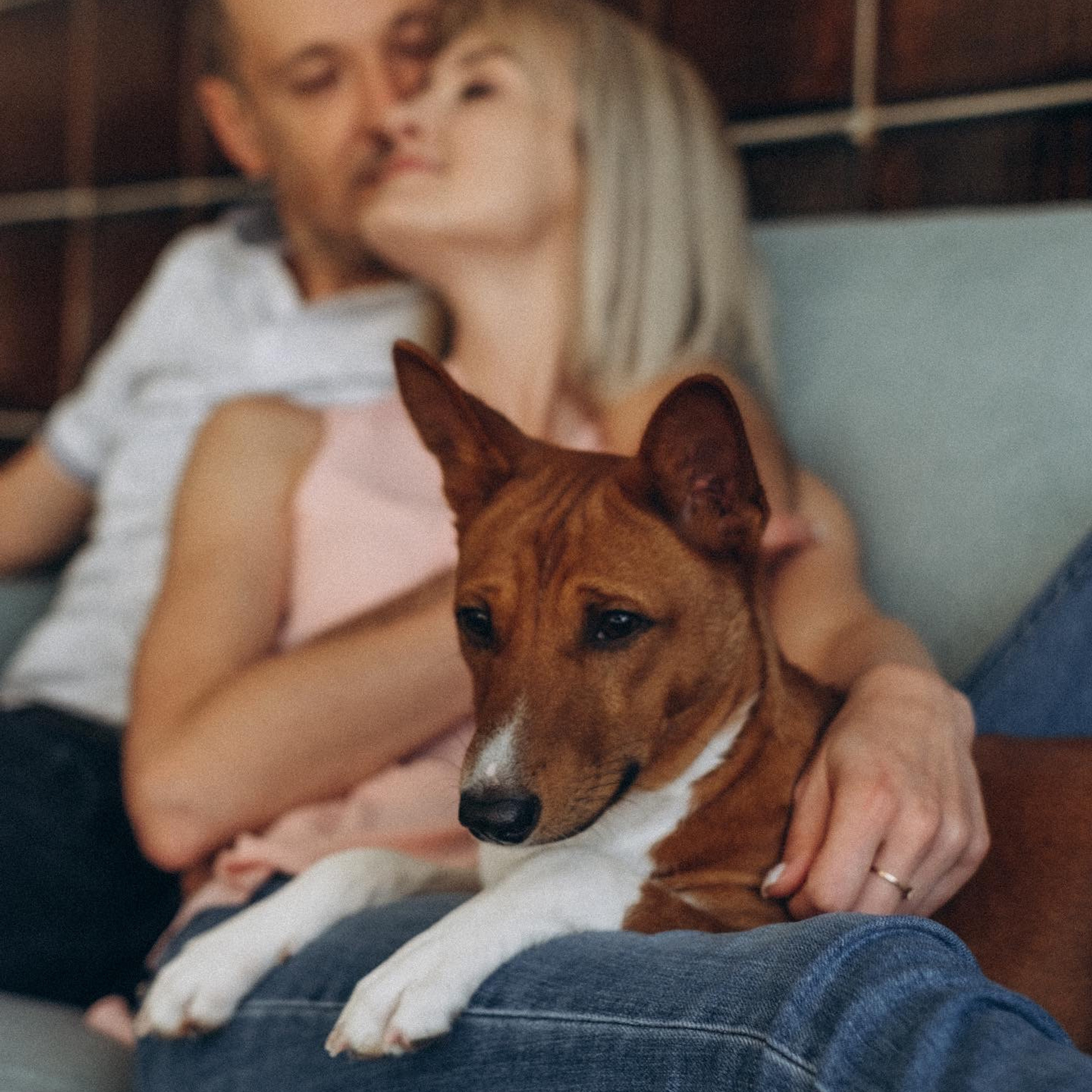 Отзывы. Семейный фотограф и анималист в Москве Анна Иванова